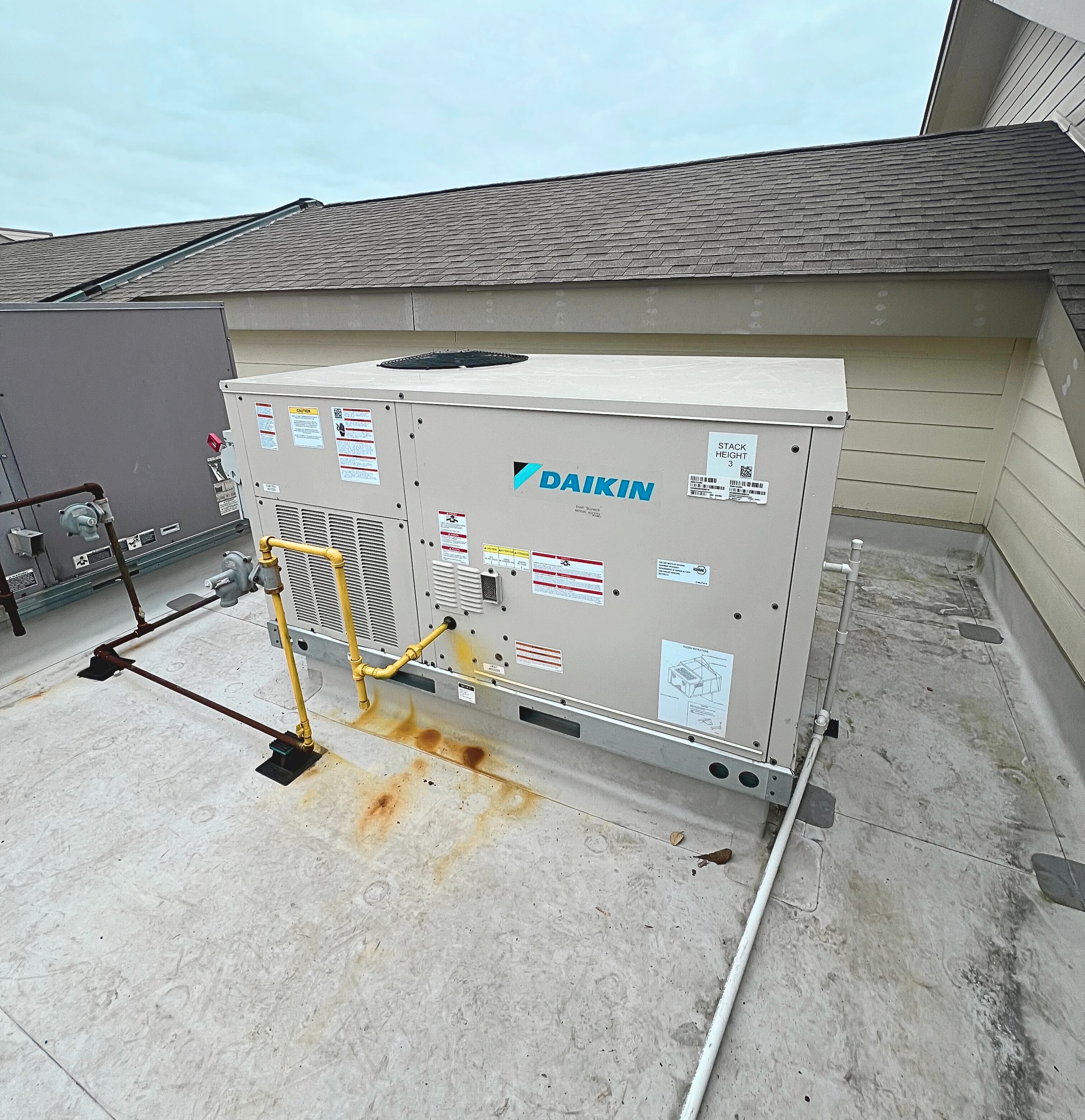 IMG_3309 (1) - Edited.jpg