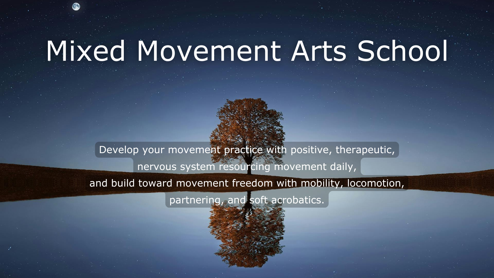 Mixed Movement Arts School — Mixed Movement Arts