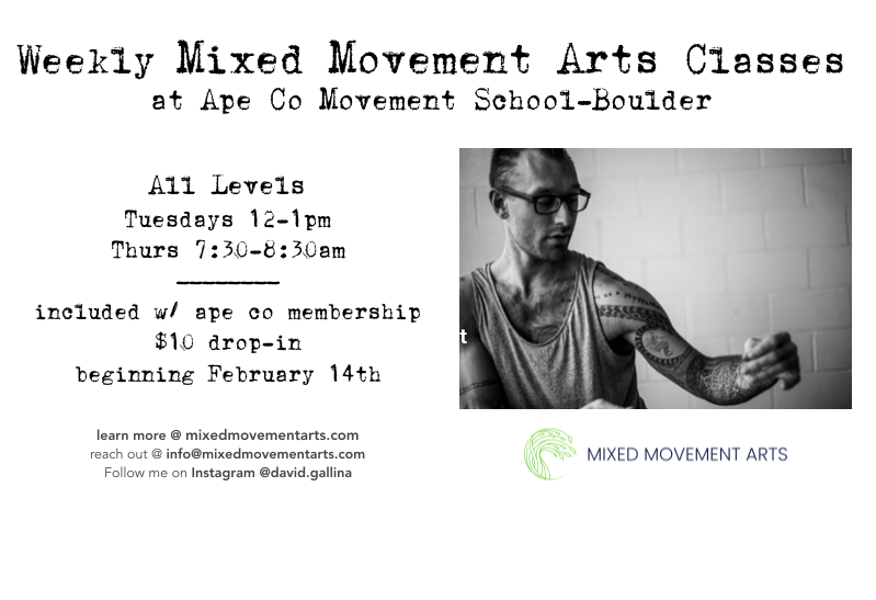 Weekly Mixed Movement Arts Classes (All Levels)