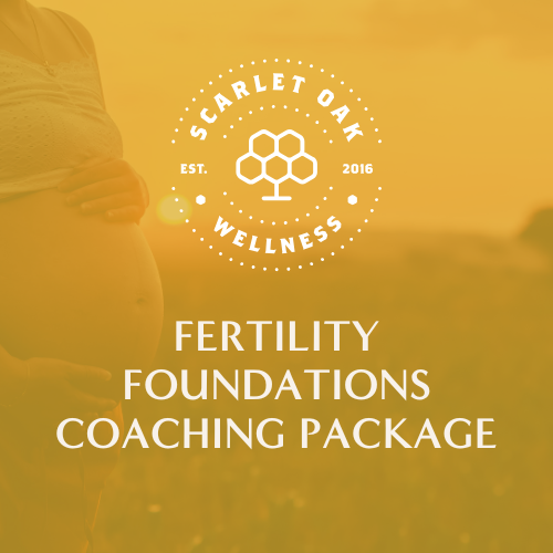 Fertility Foundations Coaching Package