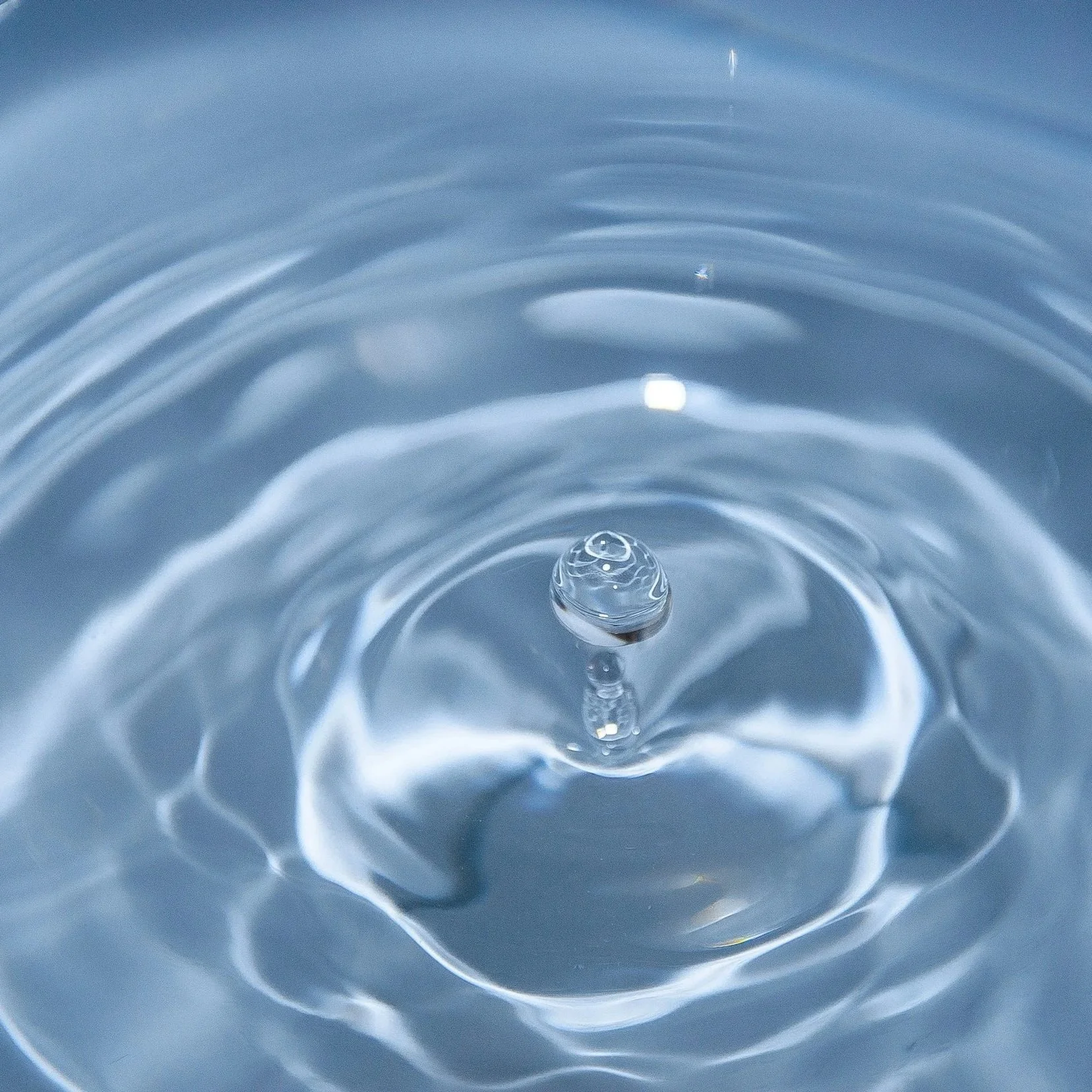 The (Mostly) Free Health Habits That Actually Work (And why expensive wellness trends won’t save you without them)