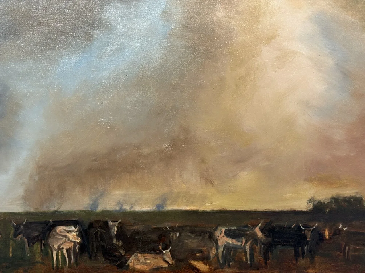 Botswana Grasslands Burning at the End of the Dry Season