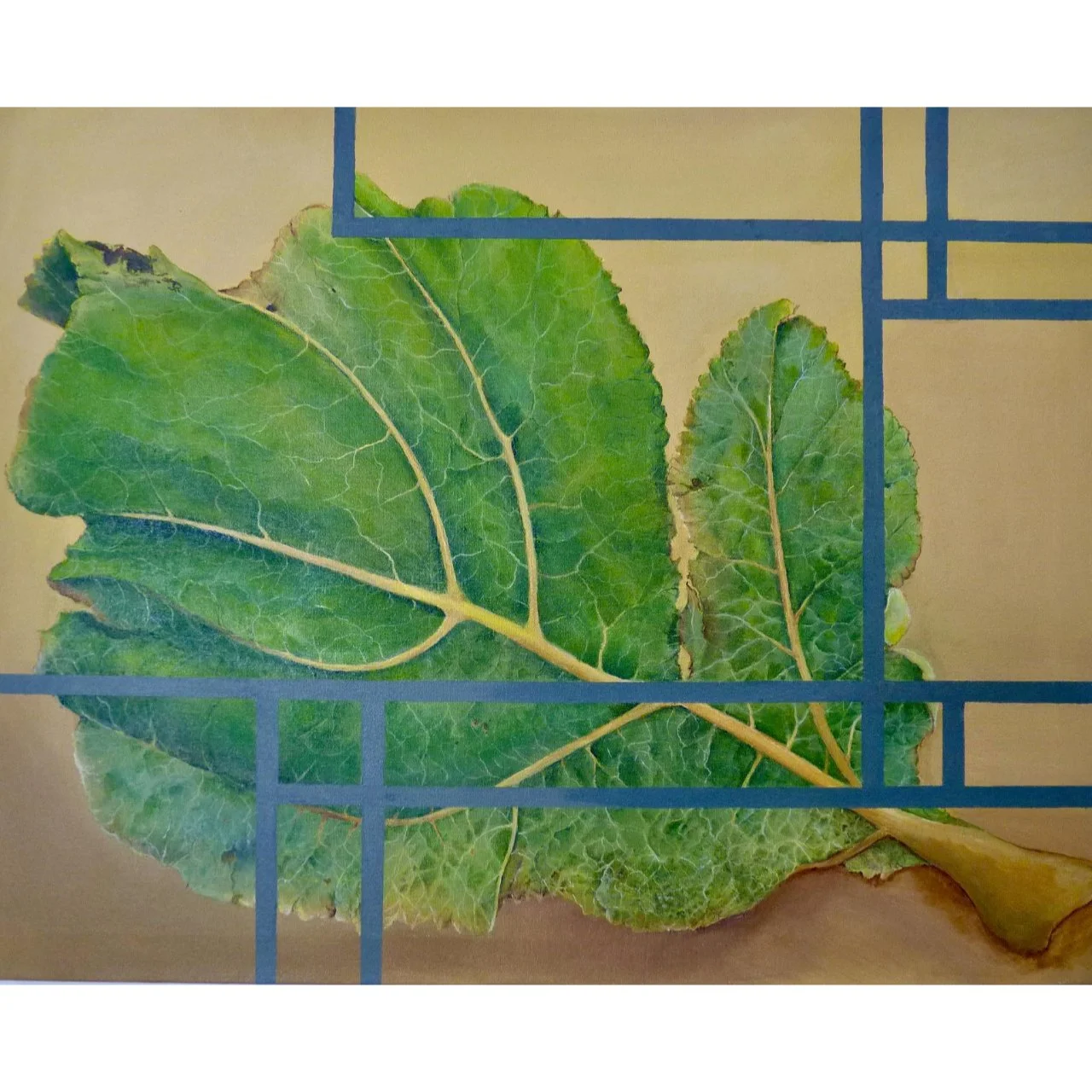 "Untitled" by Stephen Barber