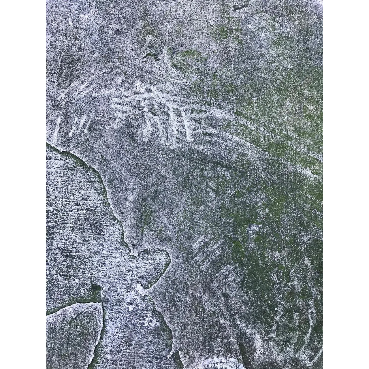 "Algae Study 68: Where it all began..." by Susan Jacobs