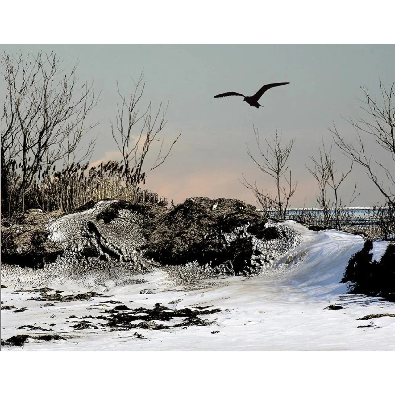 "The Edge of the World" by Jessica Schulman