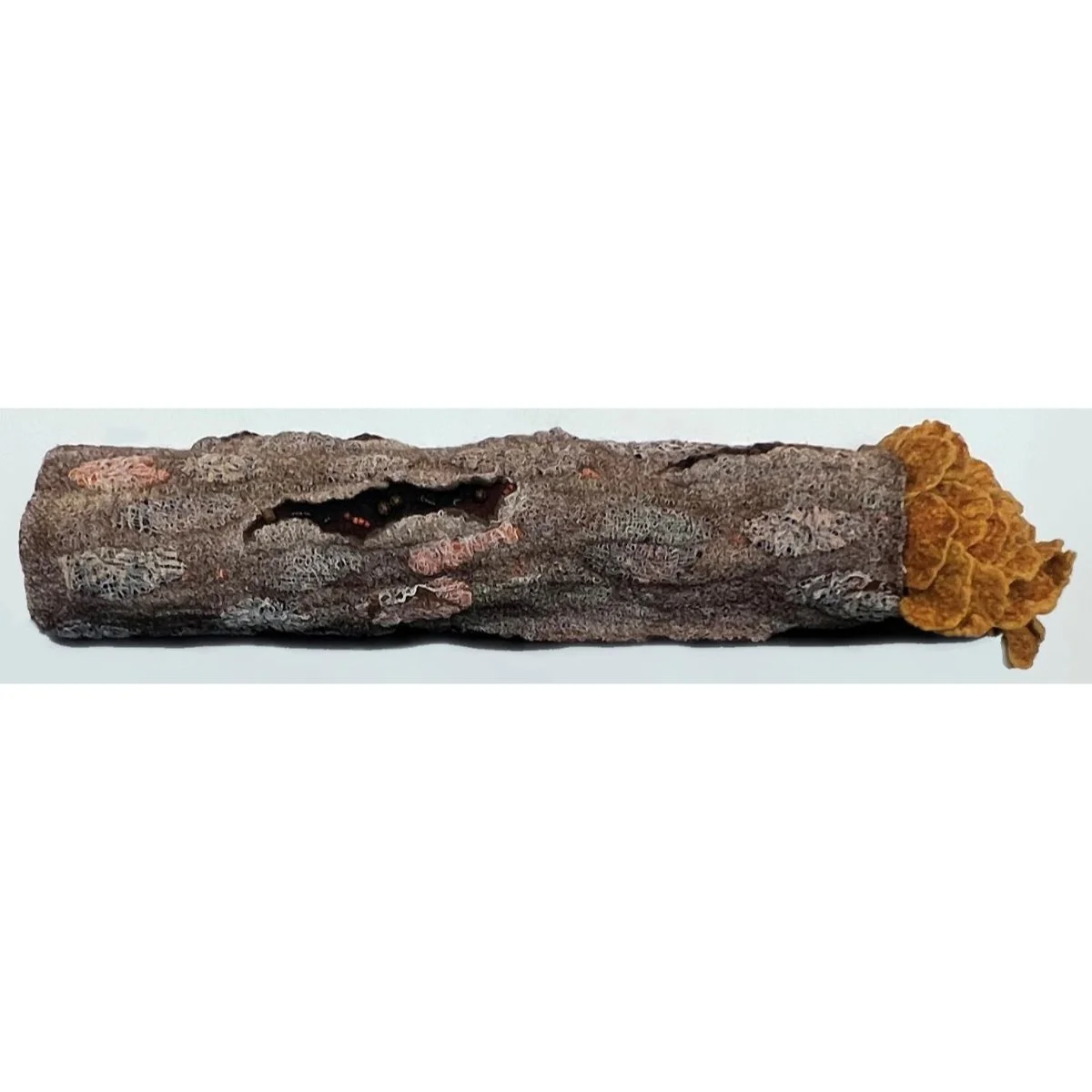 Sandra Giunta, "Life in Transition – Nurse Log #11"