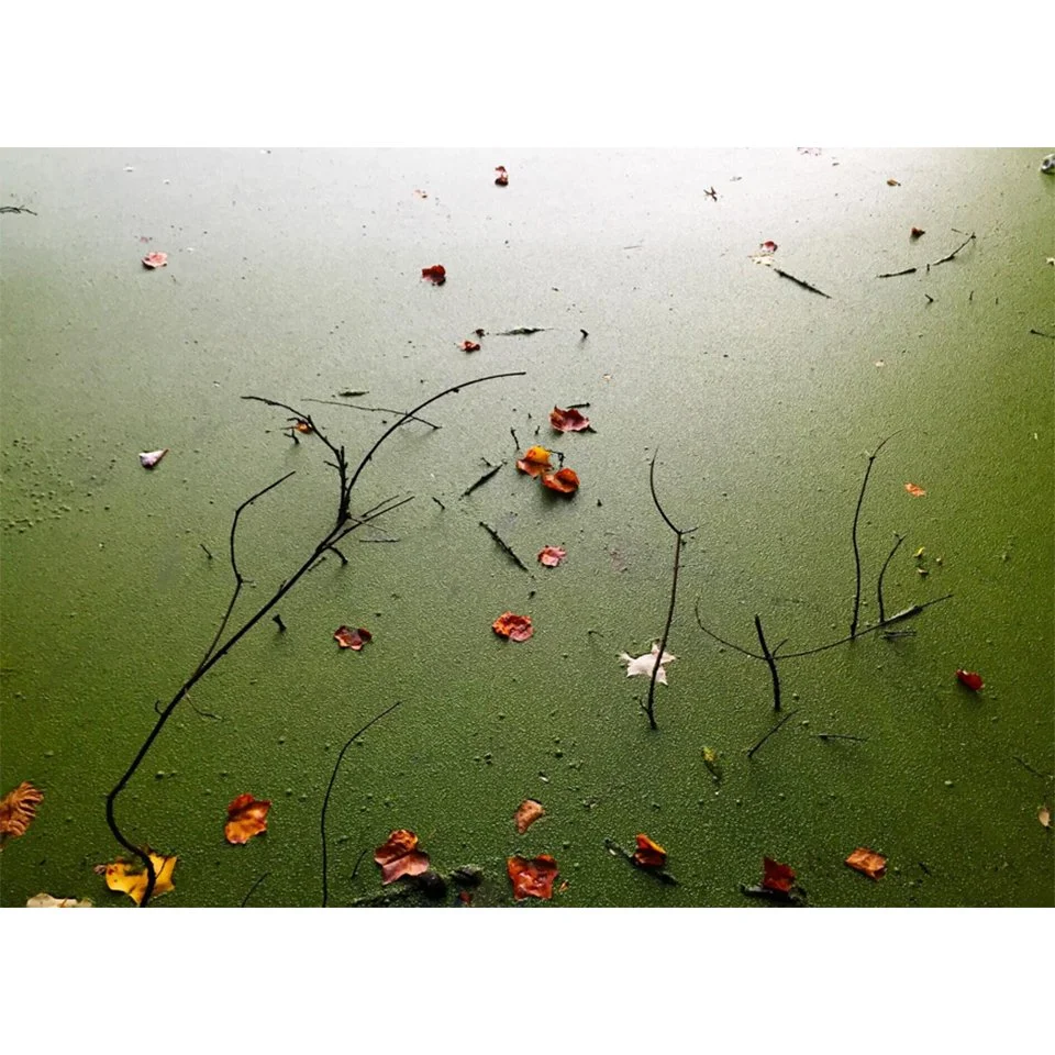 Prospect Park Lake by Tamavis Santiago