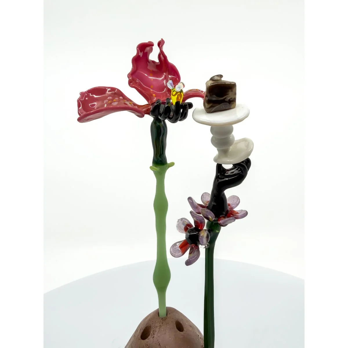 Molmol Kuo, "Why We Should All Be Gardeners"