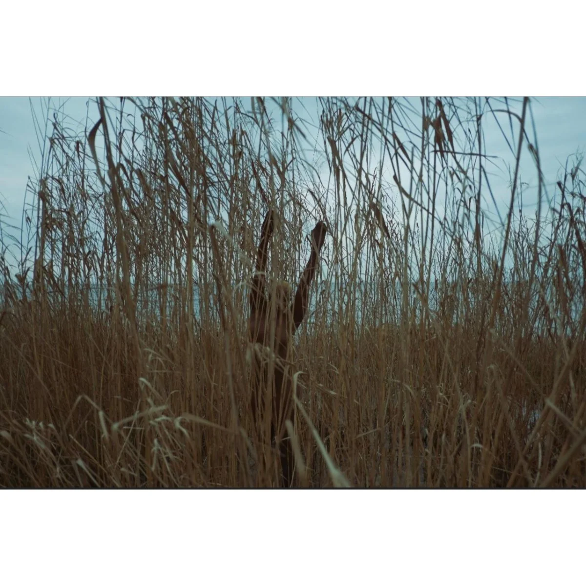 Trécha Jheneall, "A Dying Living Fossil "