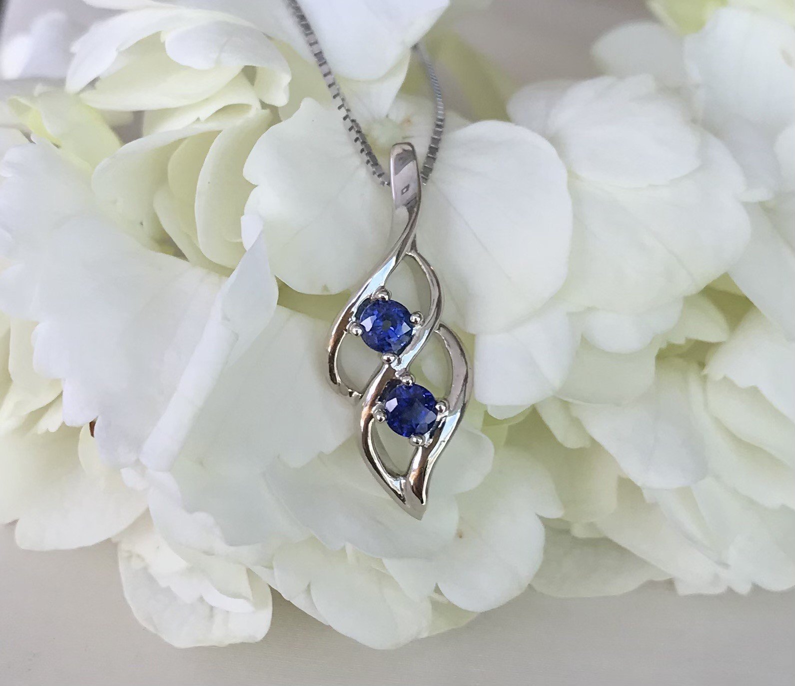 Two Stone Sapphire Pendant.jpg