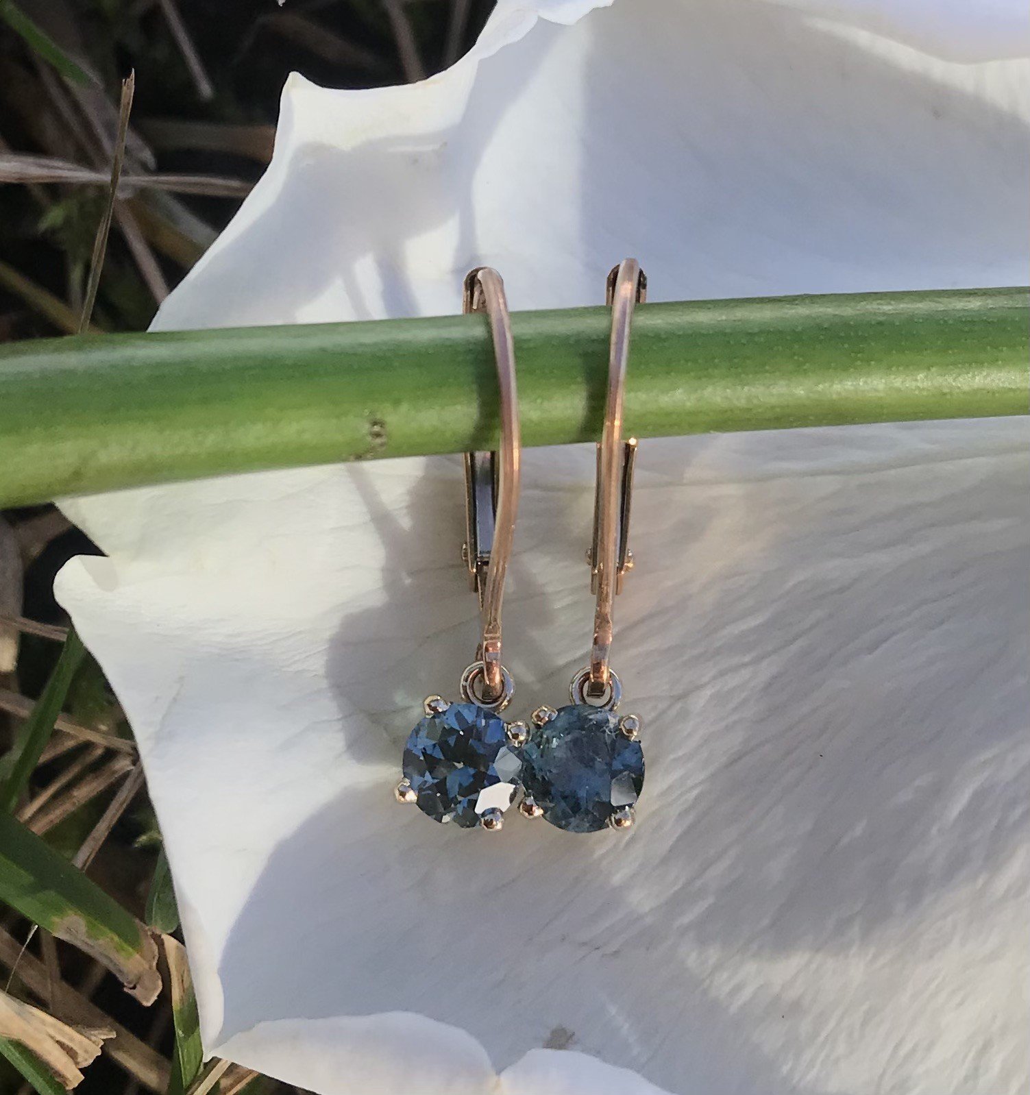 .78ctw Montana Sapphire Dangle Earrings.jpg