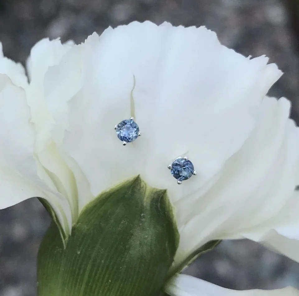 Sparkle & Bloom Black Friday Special 2.jpg