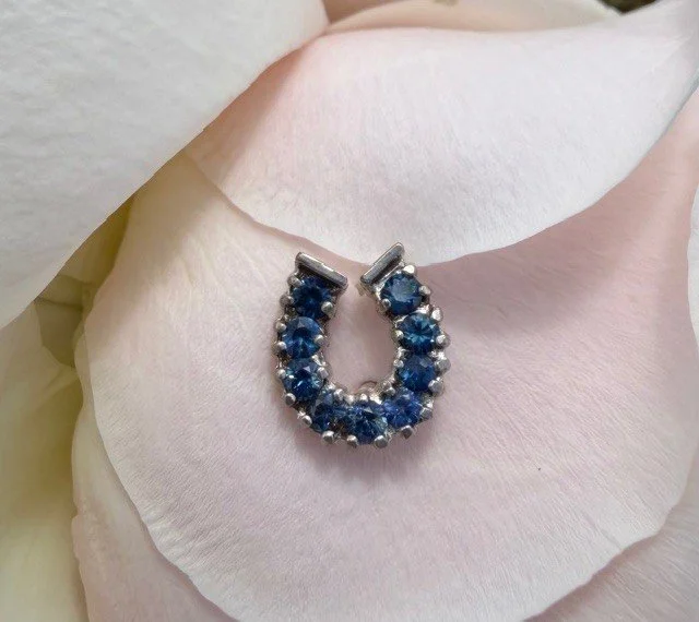 Sapphire Horseshoe Tie Tack.jpg