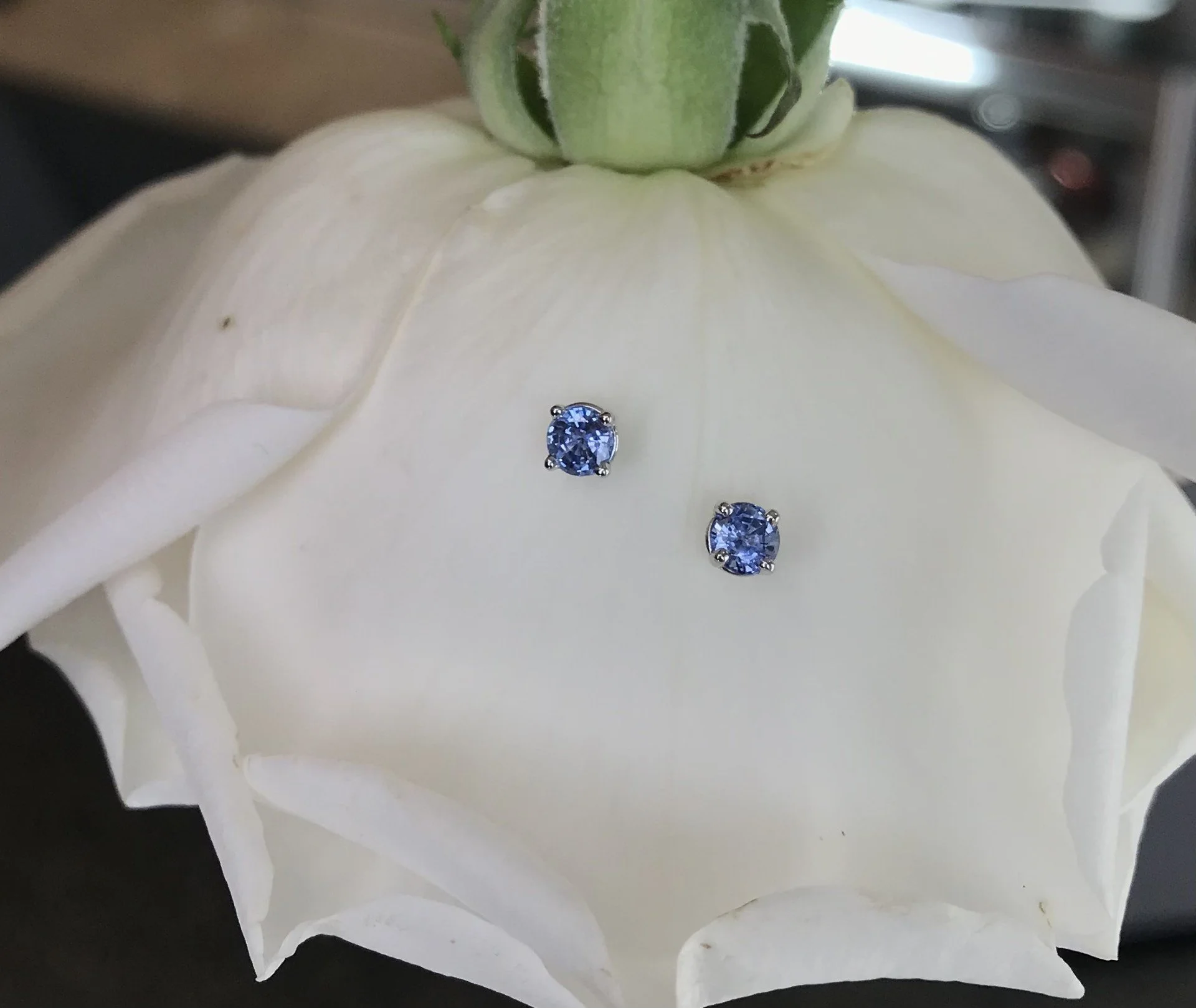 Sparkly Blue Sapphire Stud Earrings2.jpg