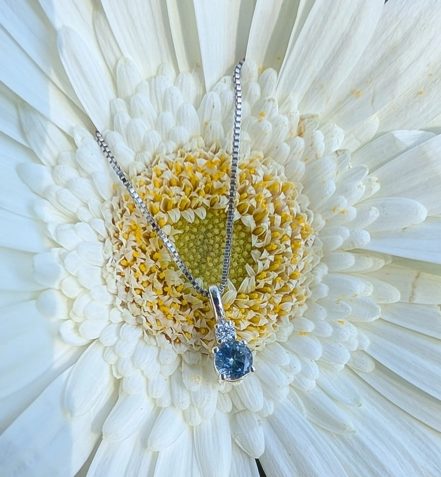 Sky Blue Montana Sapphire Pendant 1.jpg
