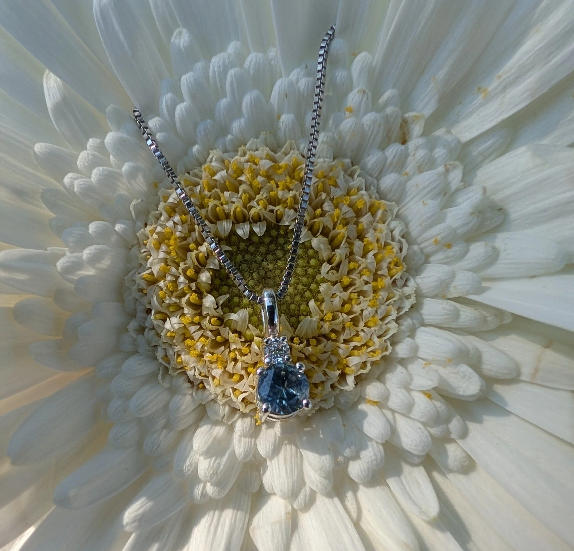 Sky BLue Montana Sapphire Pendant.jpg