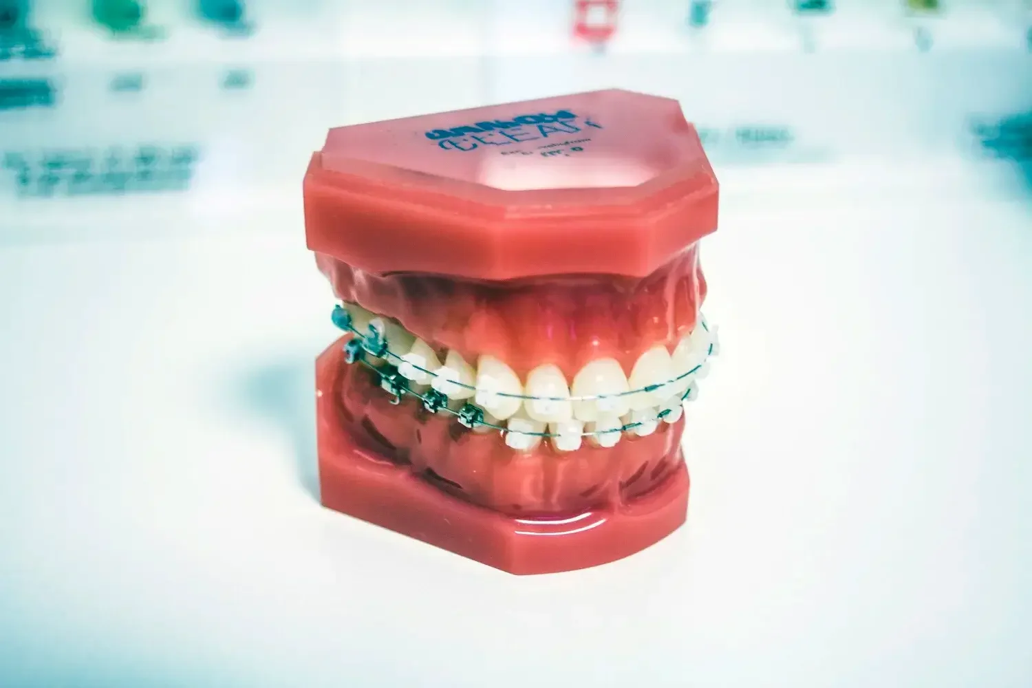 A dental model featuring teeth fitted with braces, placed inside a pink plastic case.