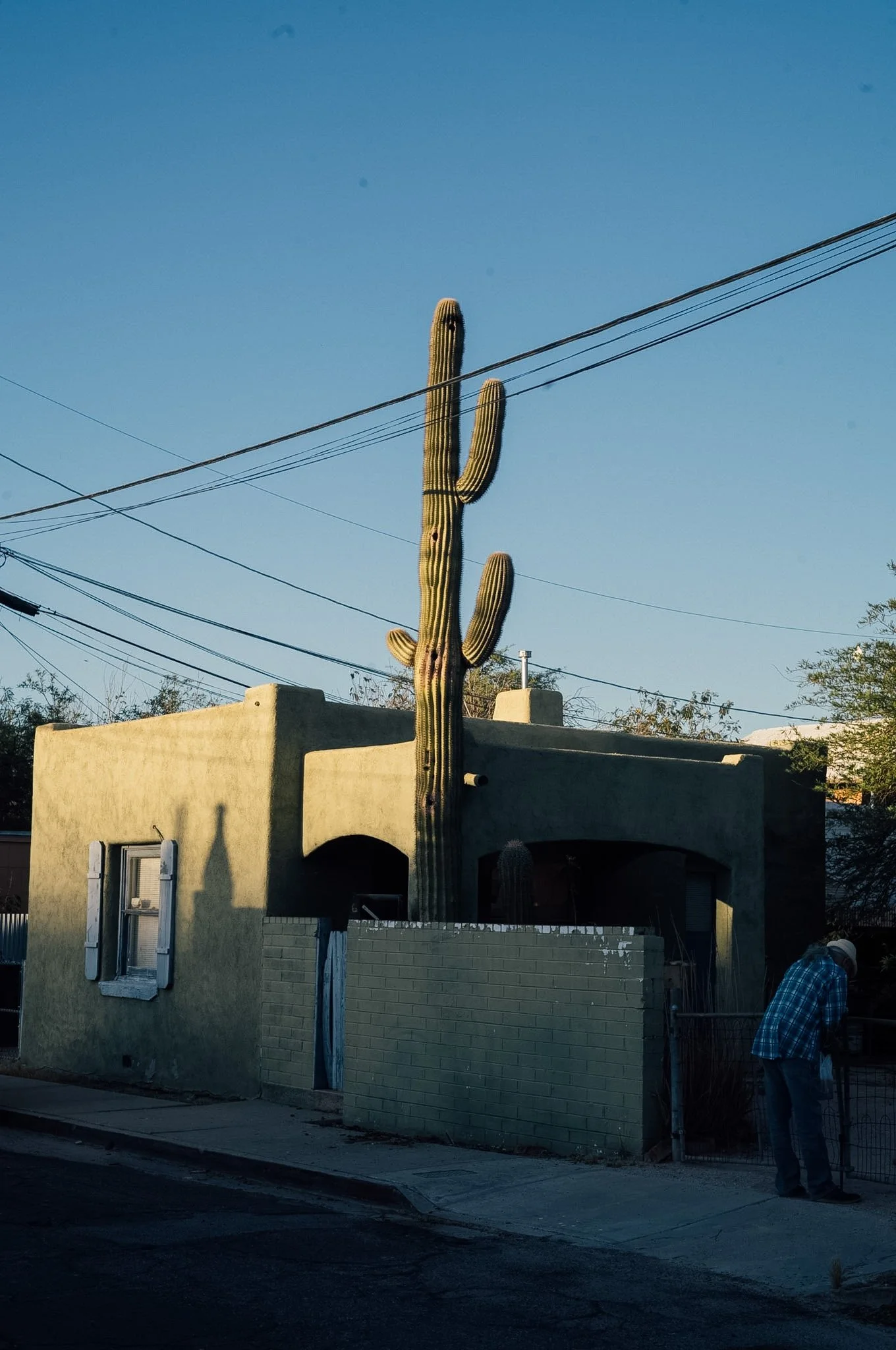 L1002025.jpg