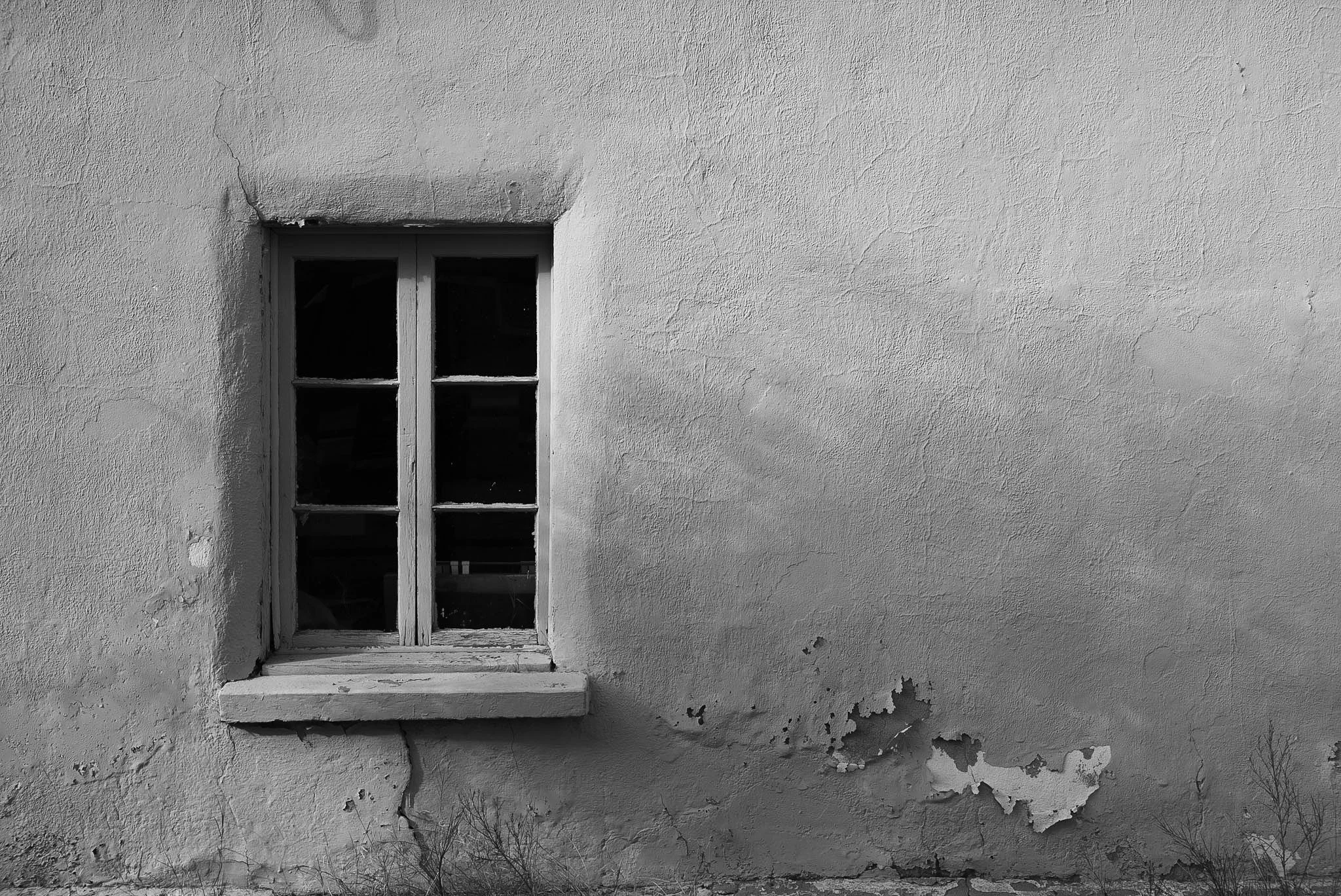L1001466.jpg