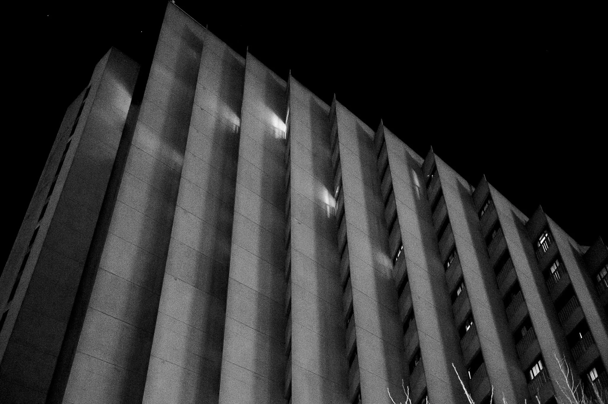 L1000542.jpg