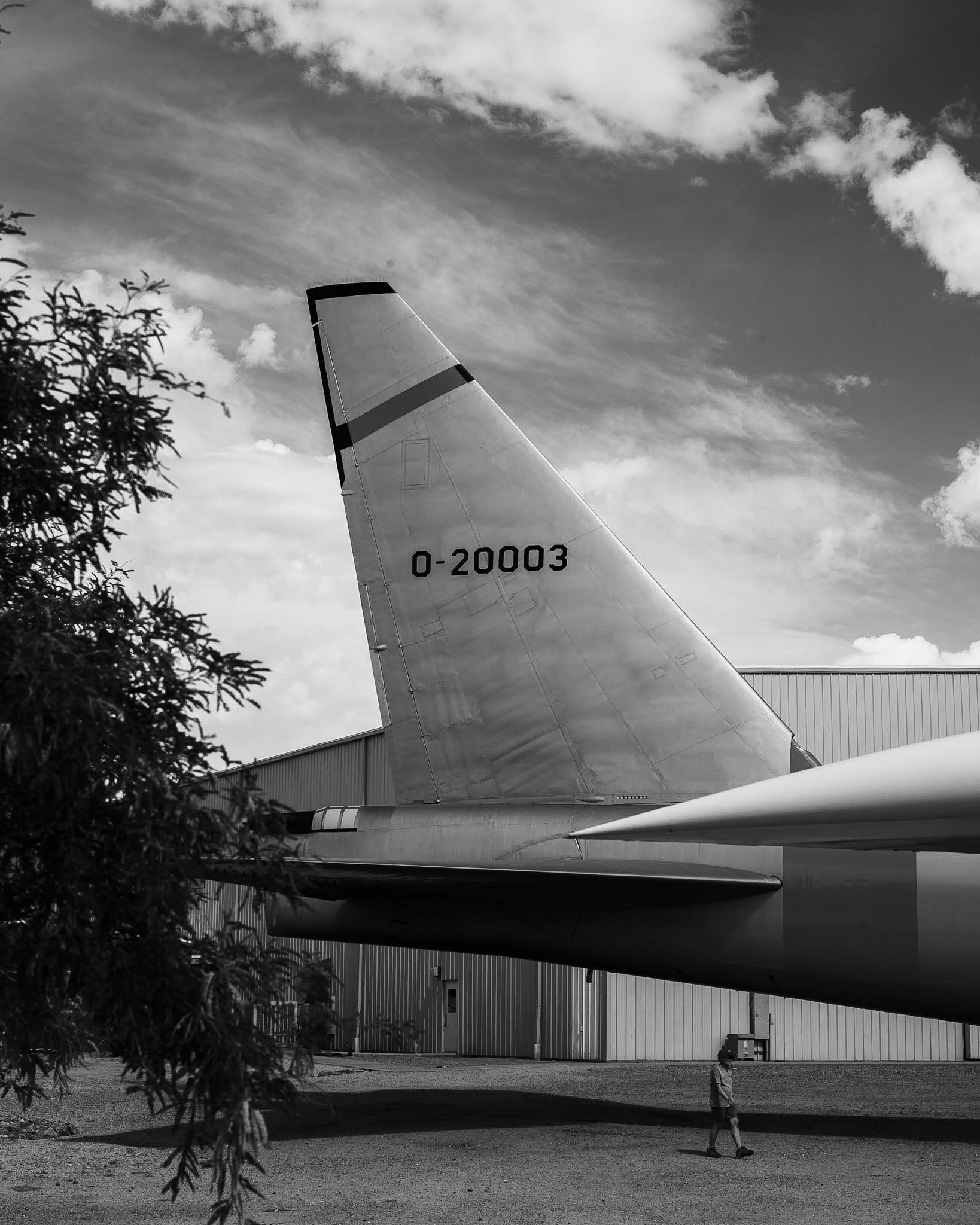L1001573.jpg