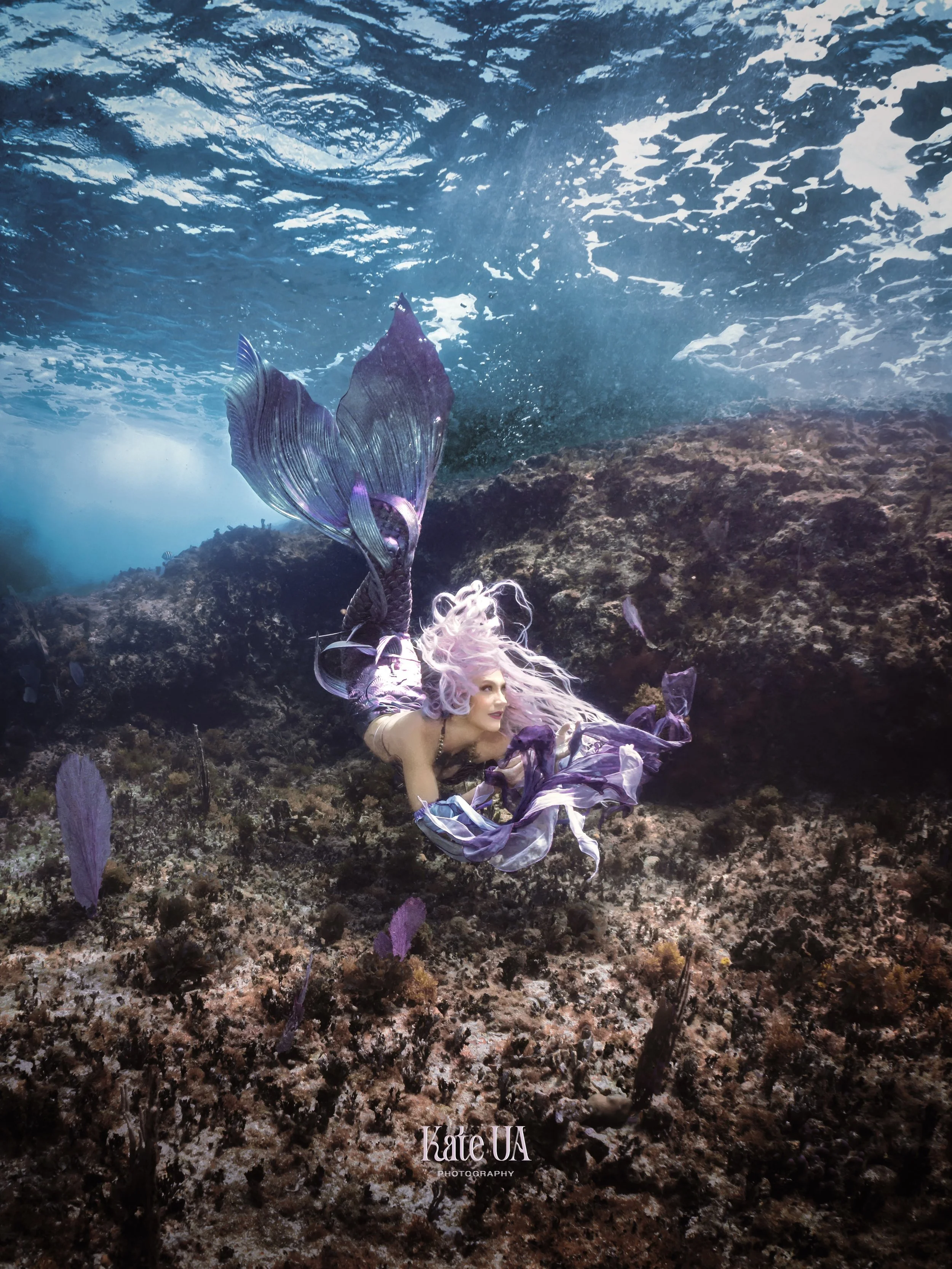 Photo Apr 23 2025, 10 23 36 AM (2).jpg