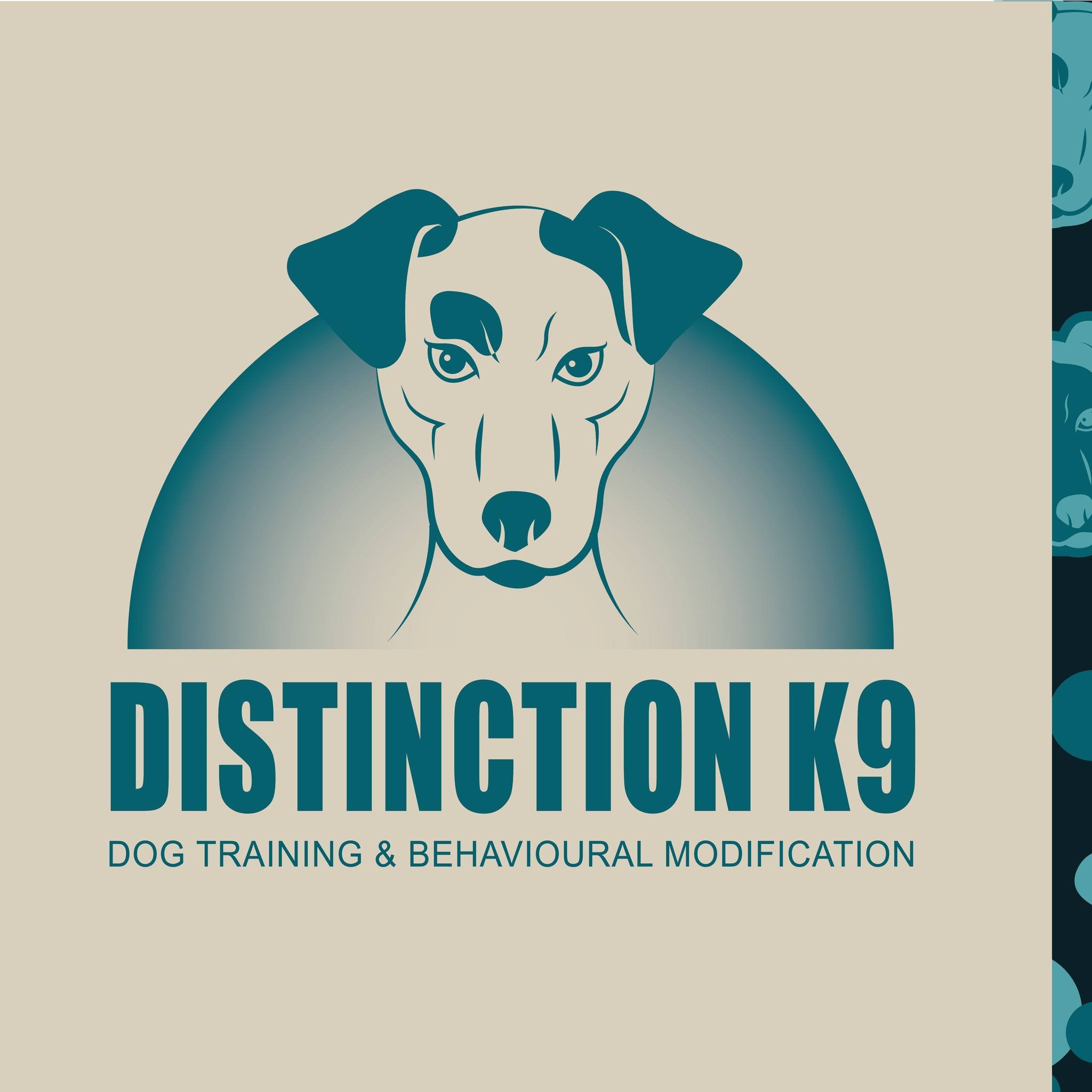 Excited to announce the branding for @distinctionk9 🐾💙

Bold. Professional. Playful. 🐾 Distinction K9&rsquo;s new look combines vibrant colorus, modern design, and passion for expert dog training. 🐕✨ The brand design is bold and professional, fea