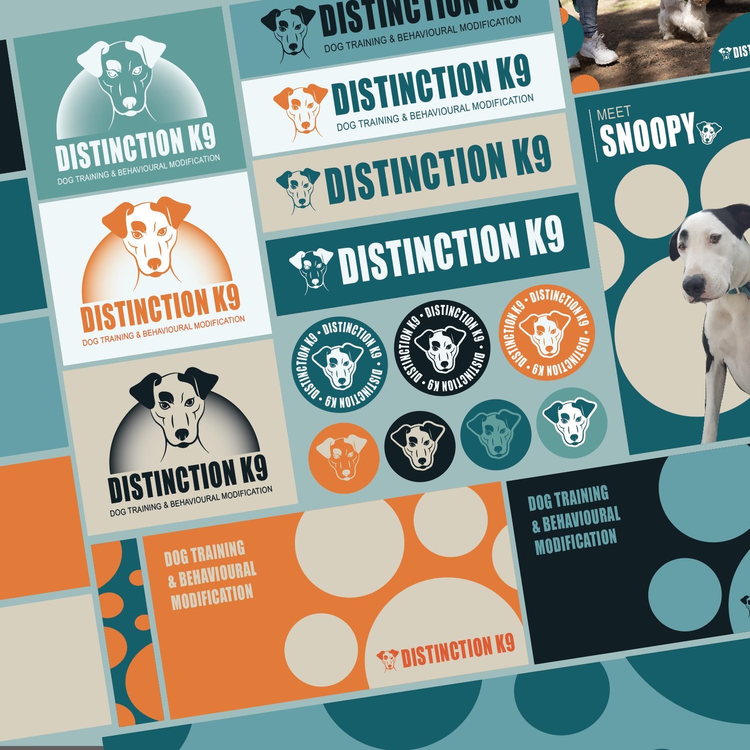 Take a peek of the overall style of Distrinction K9! 🐕✨ Here is why the brand stands out 🙌

➡  Colour Palette: Teal, orange, yellow, &amp; black for a playful yet professional vibe 
➡ Typography: Bold, modern, and easy to read in all-uppercase 
➡ P