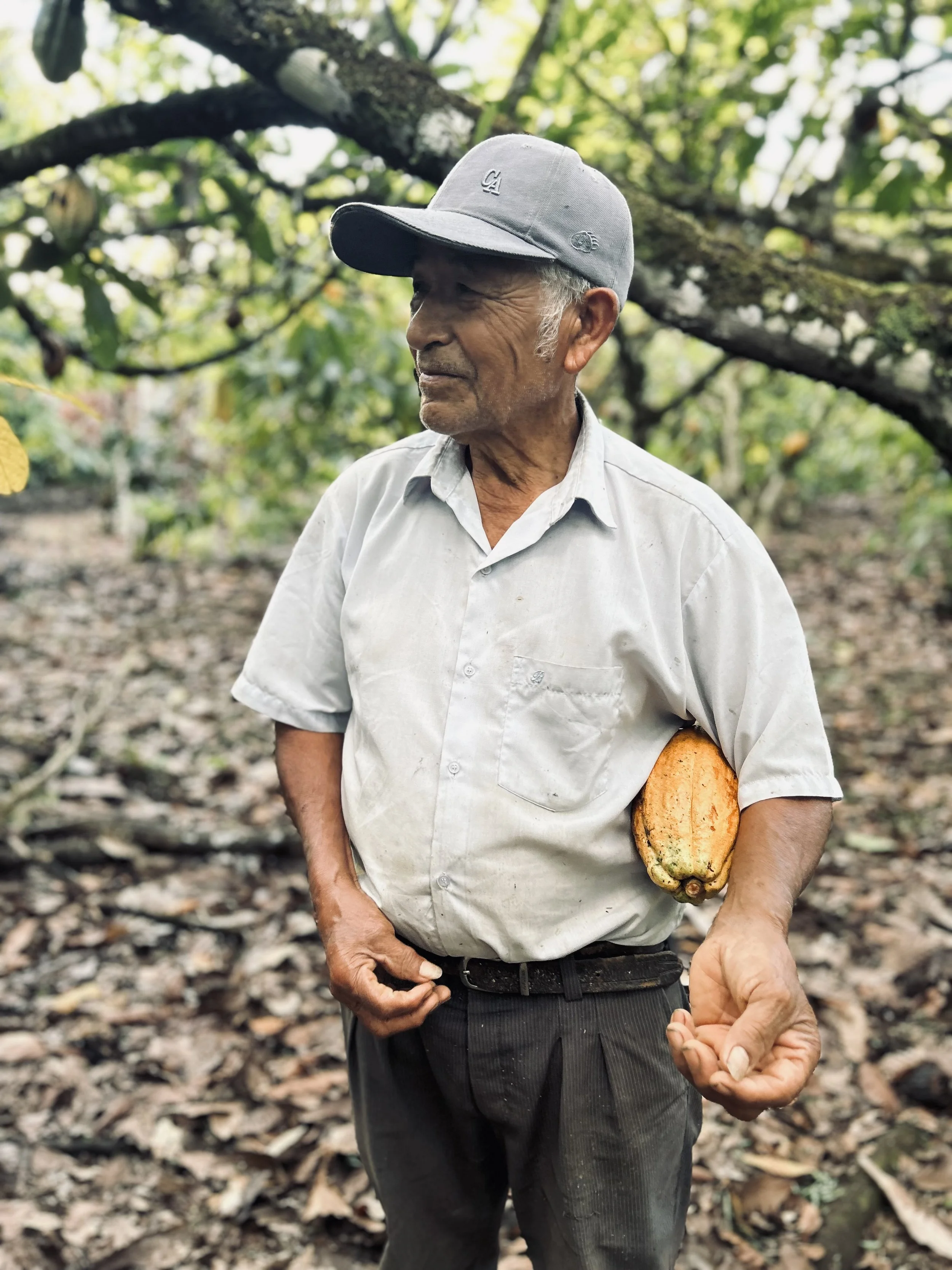 Don Fortunato holding a cacao pod