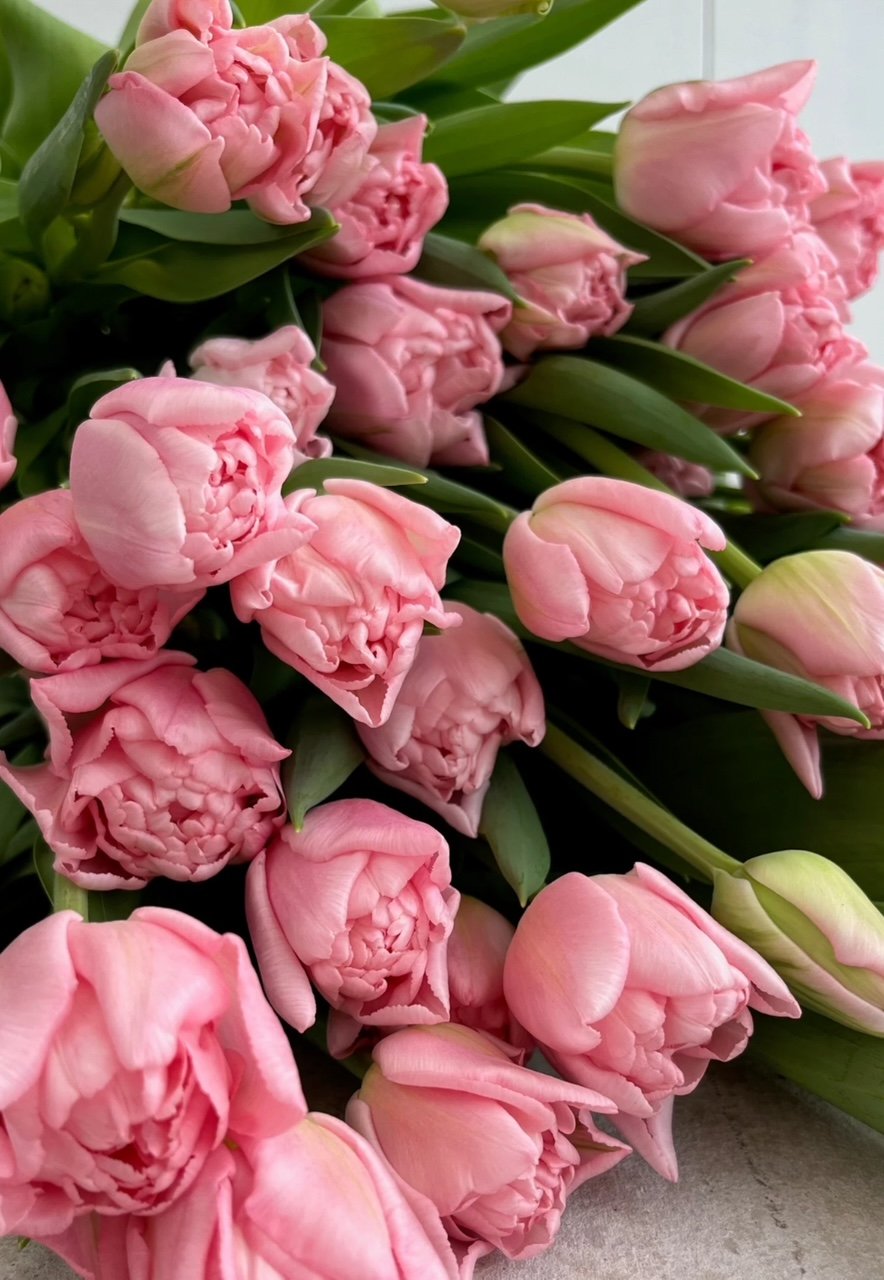 local tulips, flower farm, holladay utah, valentine's day