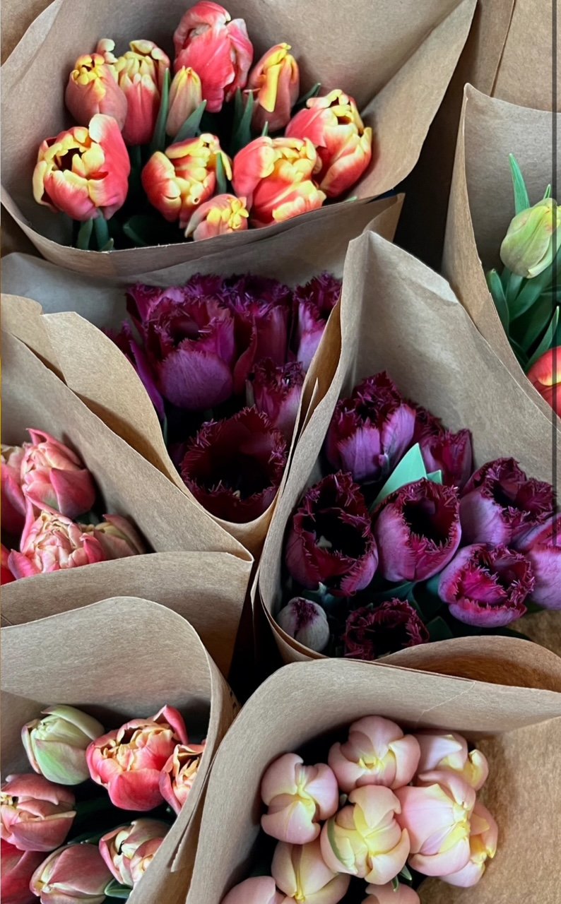winter tulip subscription, locally grown, holladay utah flower farm, local tulips