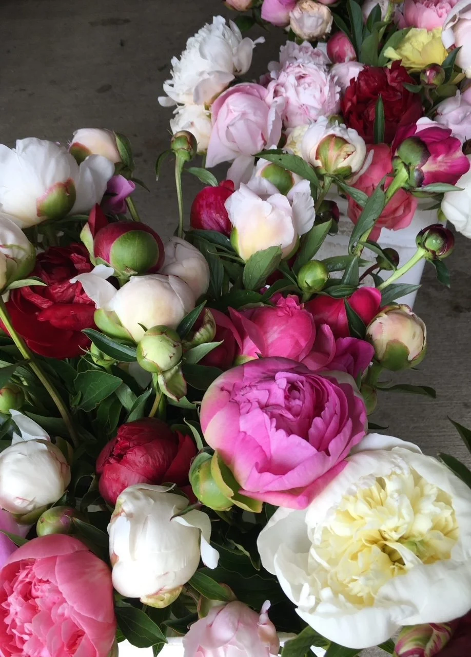 locally grown peonies, flower bouquet, flower farm, holladay utah