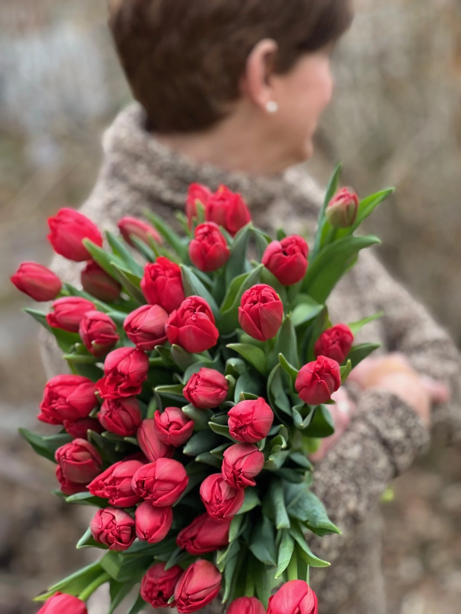 local tulips, winter tulips, flower farm, holladay utah