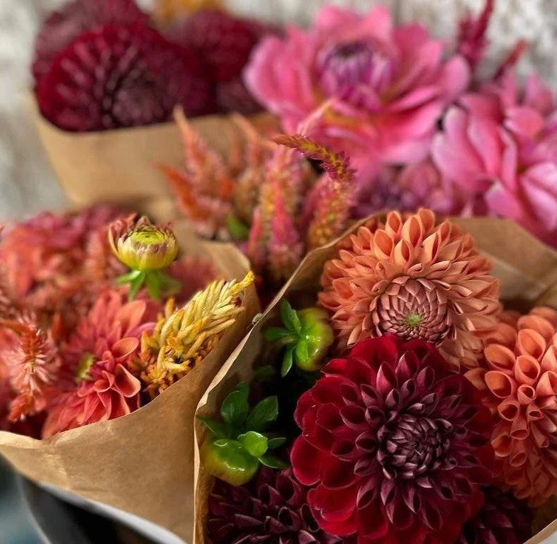 flower csa, dahlia bouquet, locally grown, holladay utah, urban flower farm