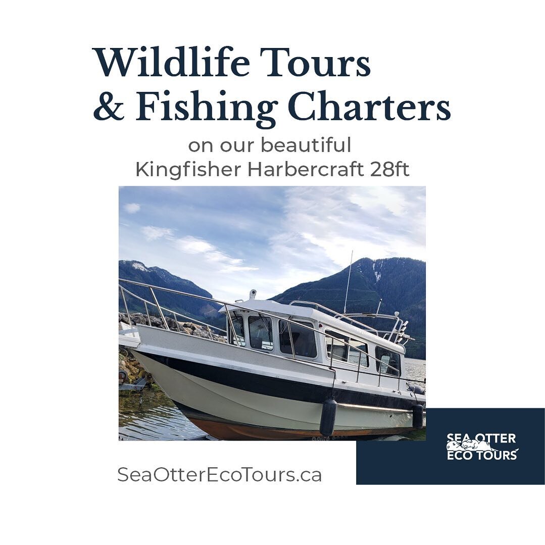 Your chariot awaits! The Kingfisher Harbercraft 28ft! Join us for an unforgettable fishing adventure or Wildlife tour aboard this comfortable and high-performance charter boat. With its spacious interior, amazing visibility, cutting-edge fishing tech
