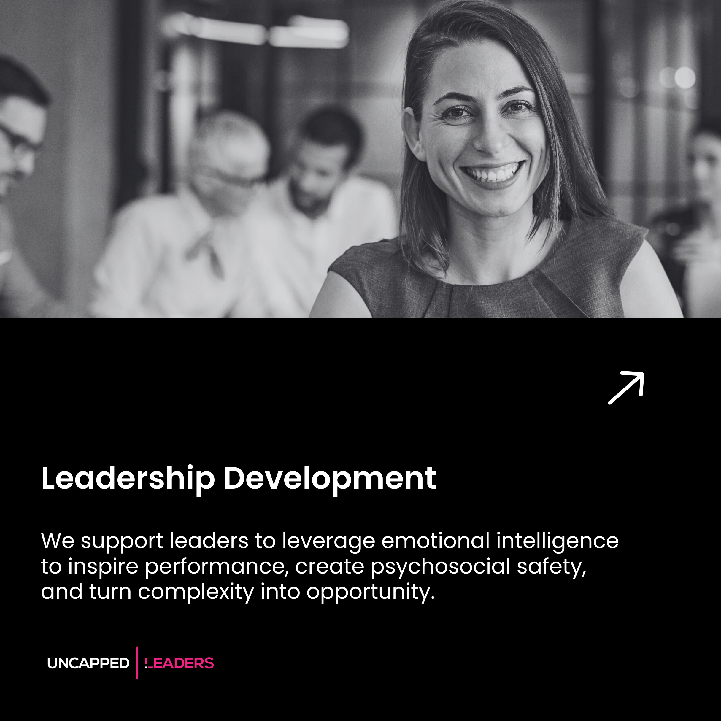 Emotional Intelligence