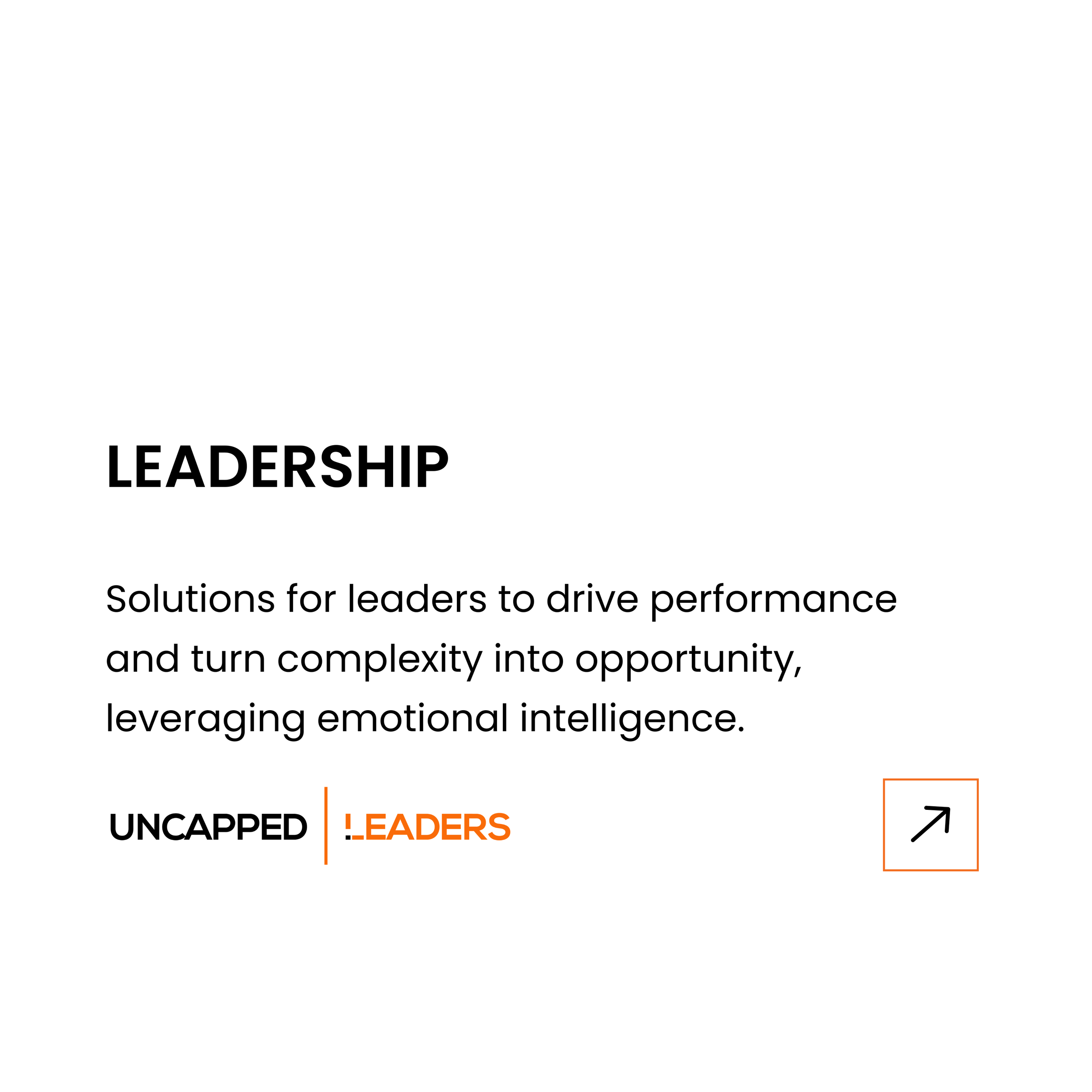 Leadership Development