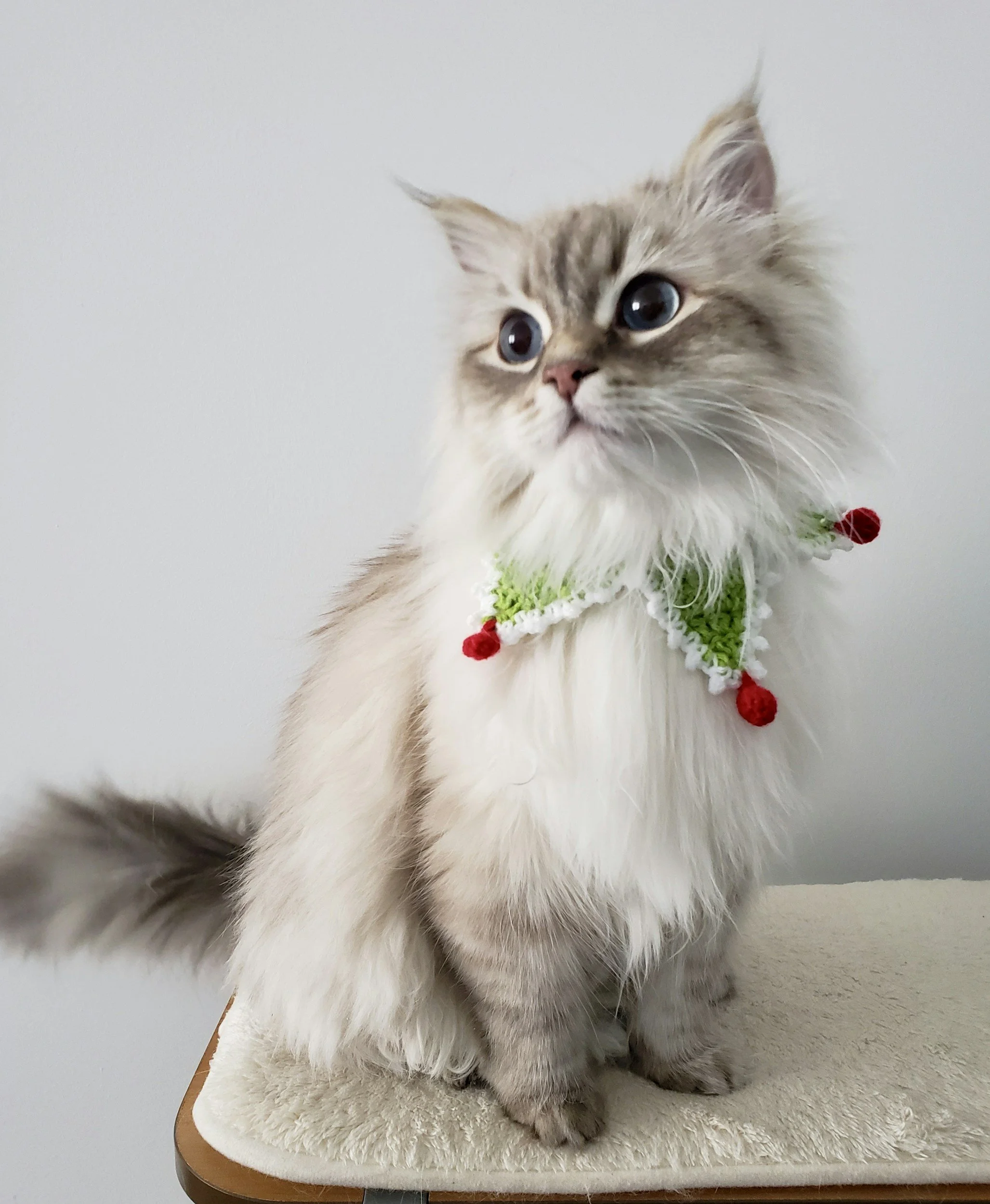 Matiowski Christmas Market