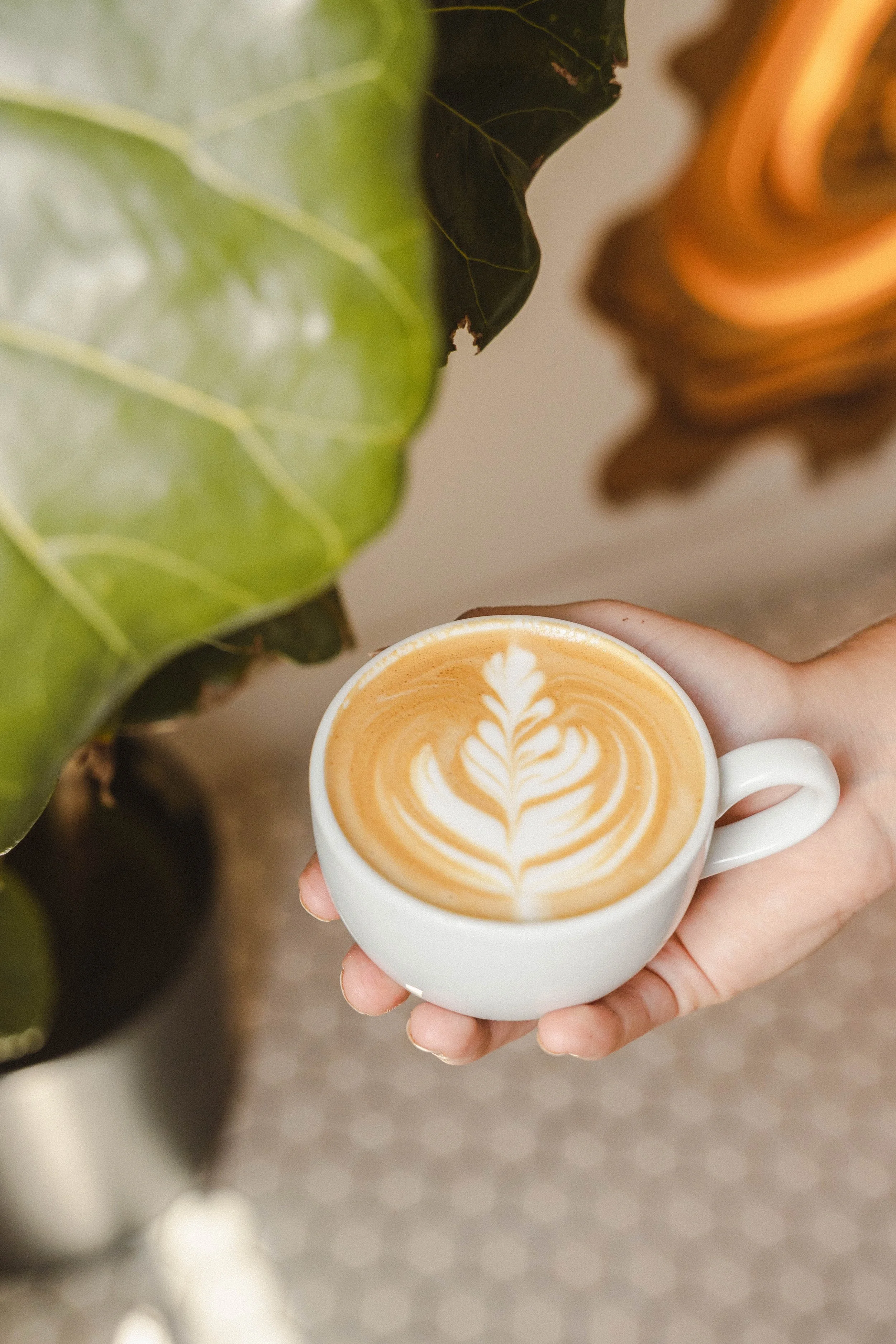 Moniker Coffee Co. at The Outpost