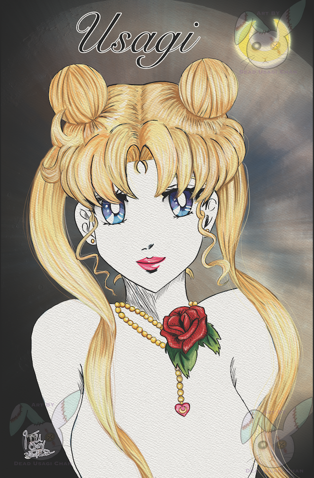 Usagi guided by the light of the White Moon