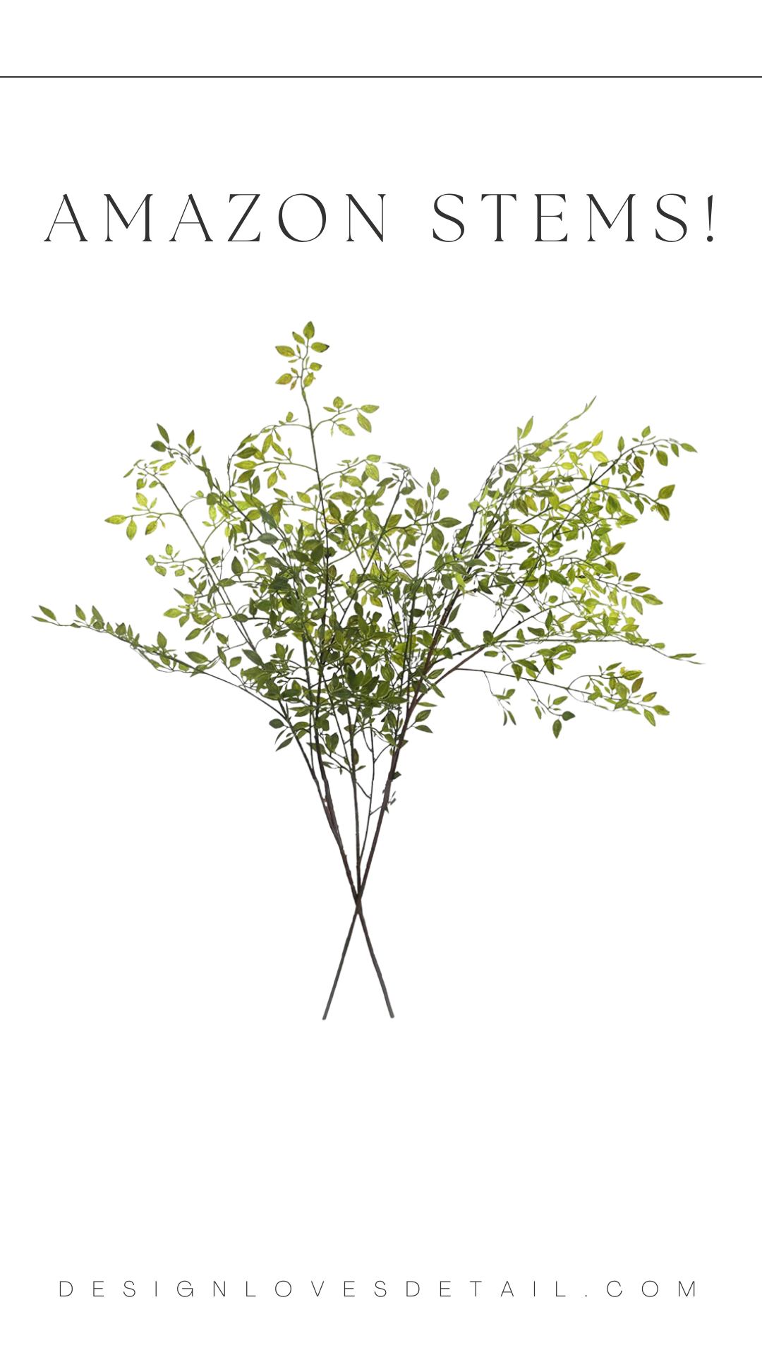 BC8F2262-EDB7-4448-A38D-3D36B1726CA7.png