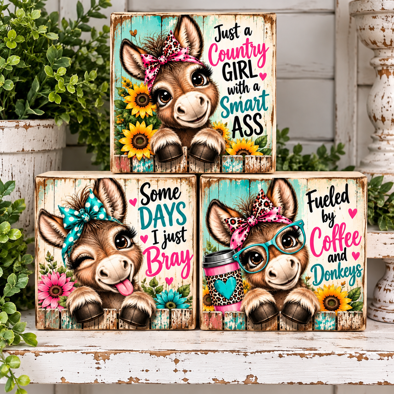 Rustic Donkey Girl Block Display.png