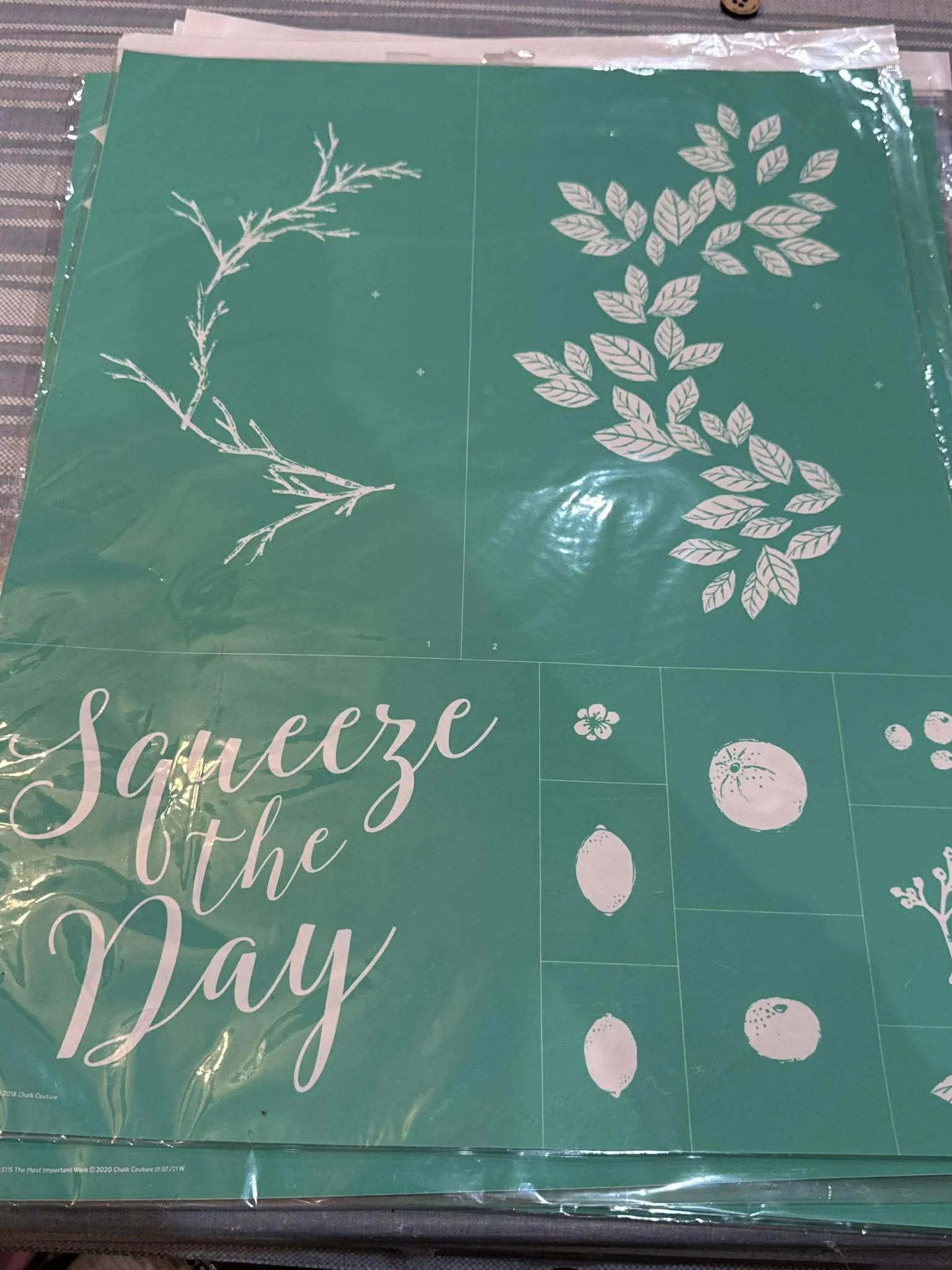 squeeze the day stencil 24x18