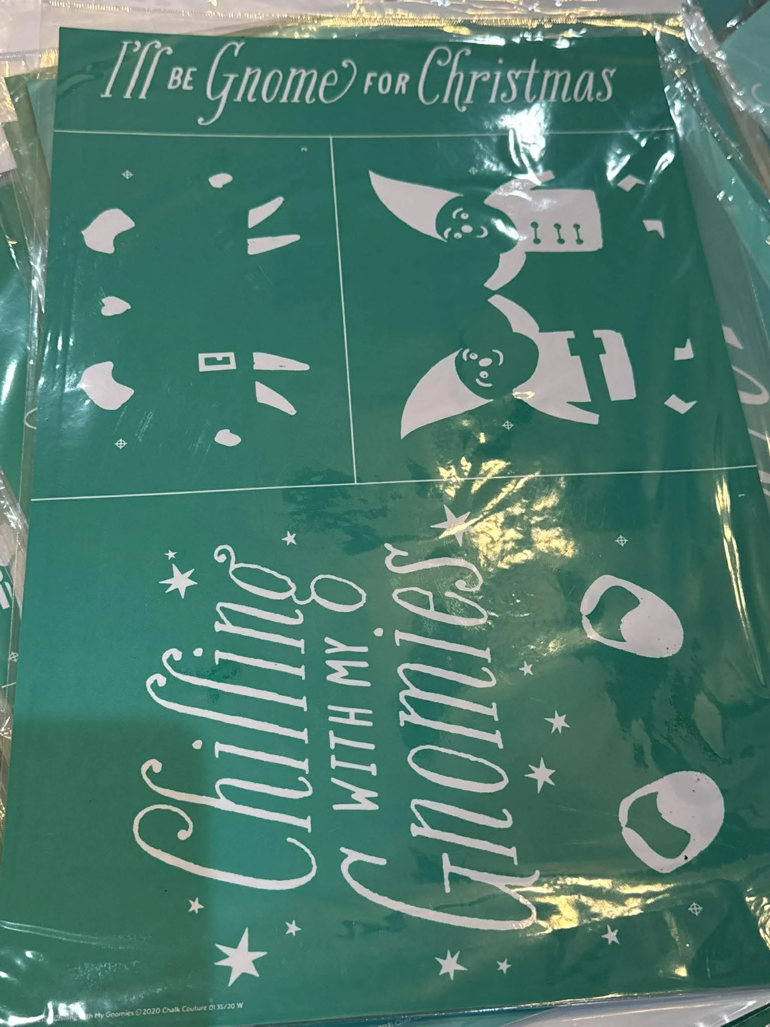 chillin with the gnomes 12x18