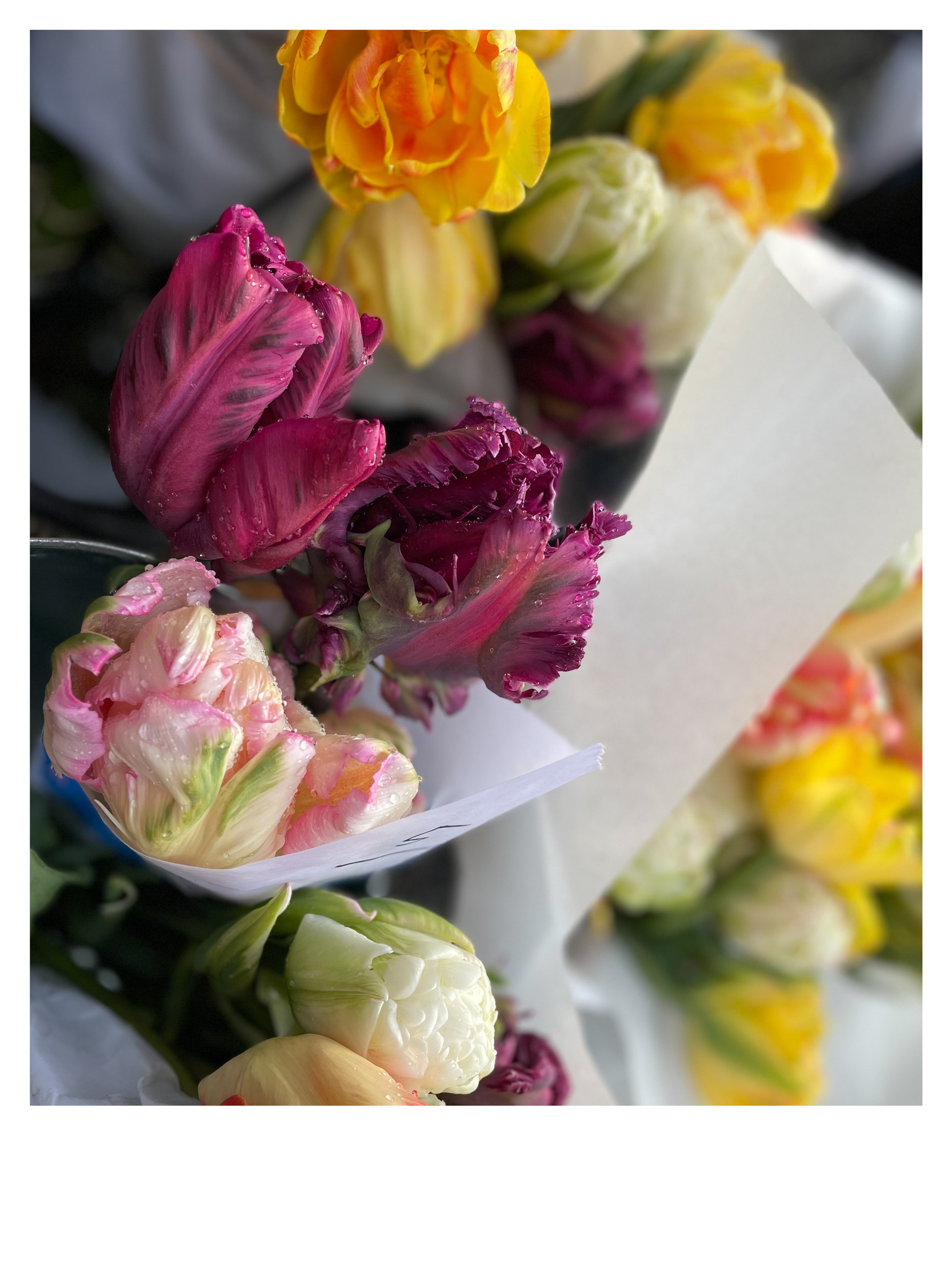bouquet.jpeg