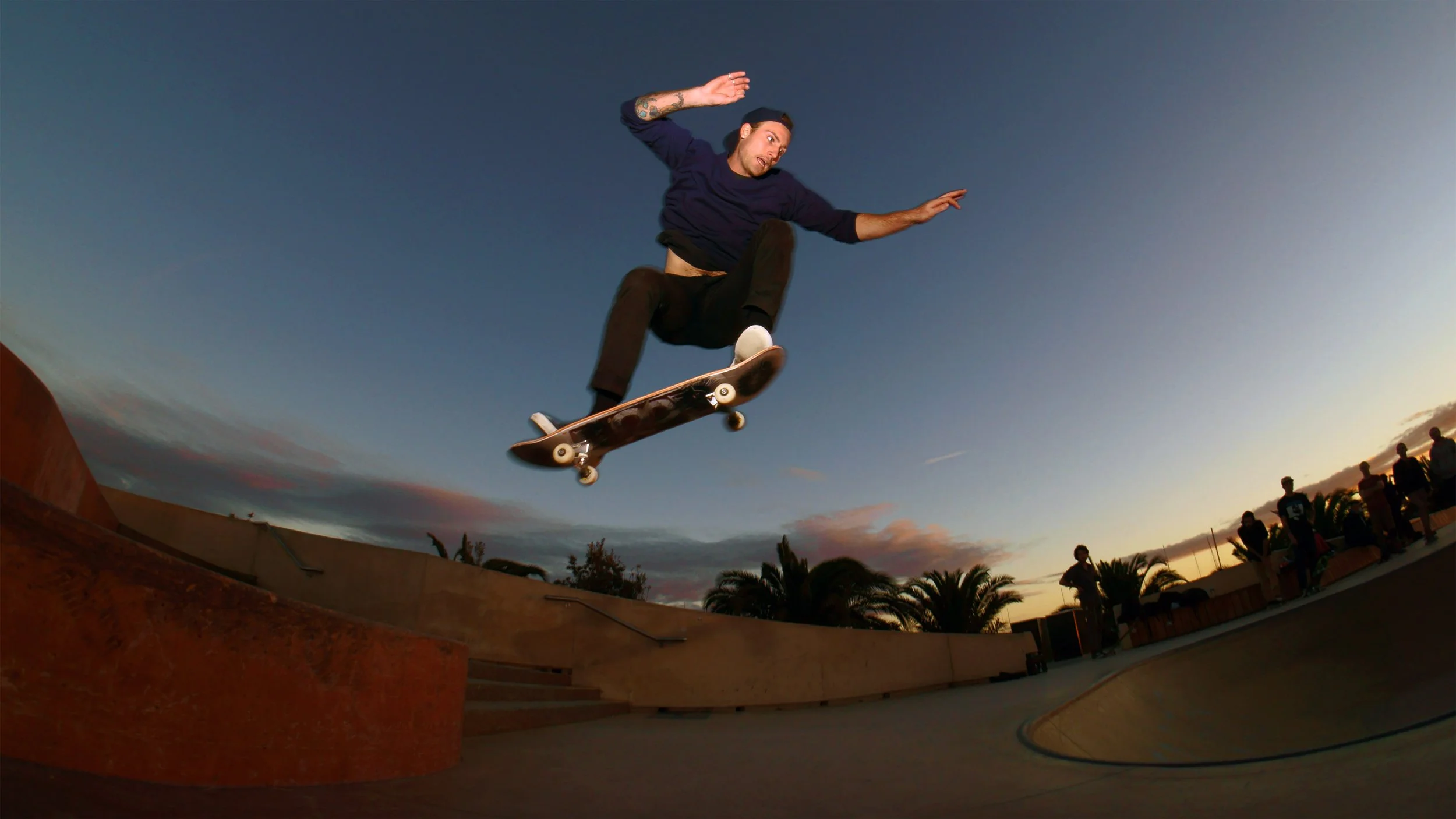 DSC07329 2013.jpg