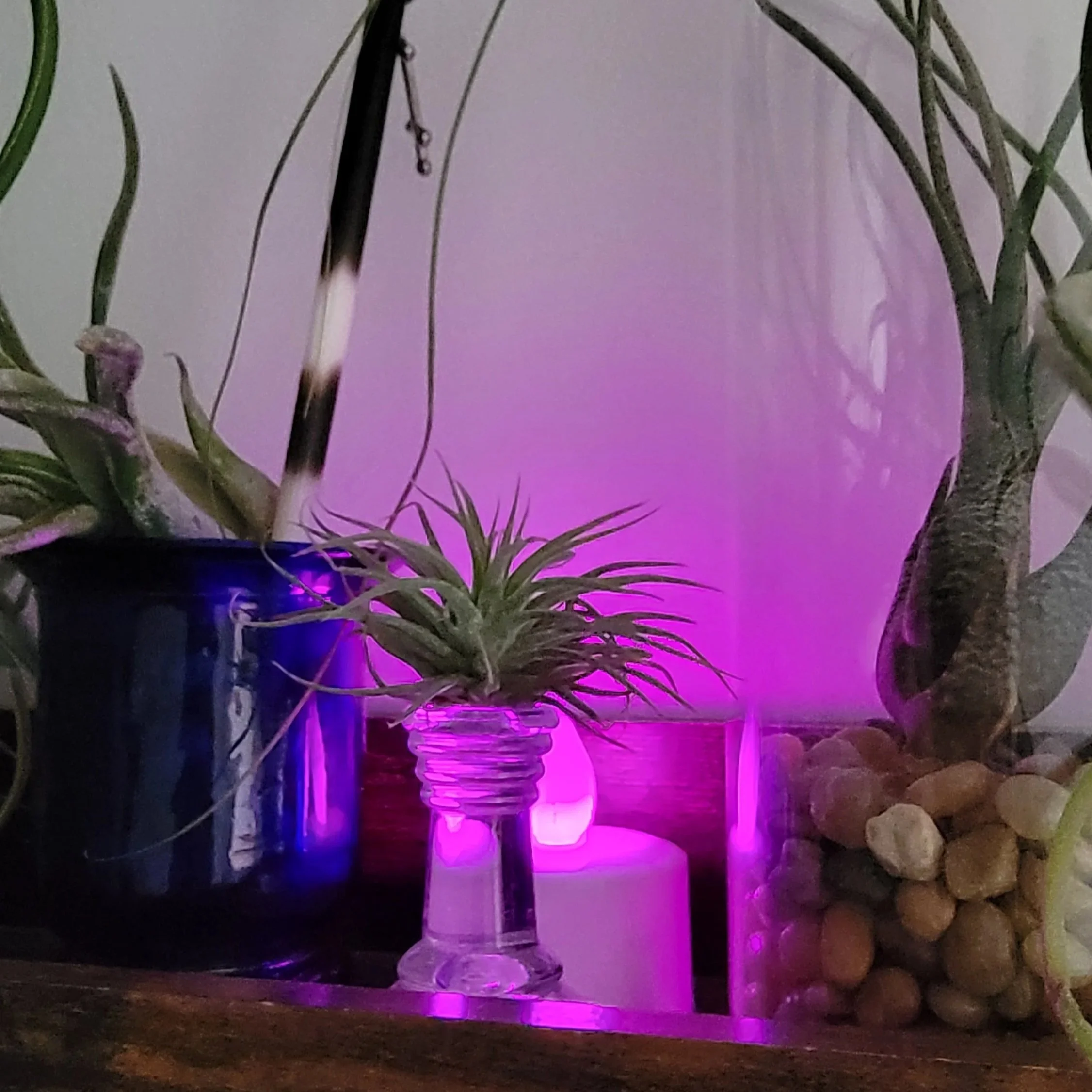  Struggle. Ease. Grace.