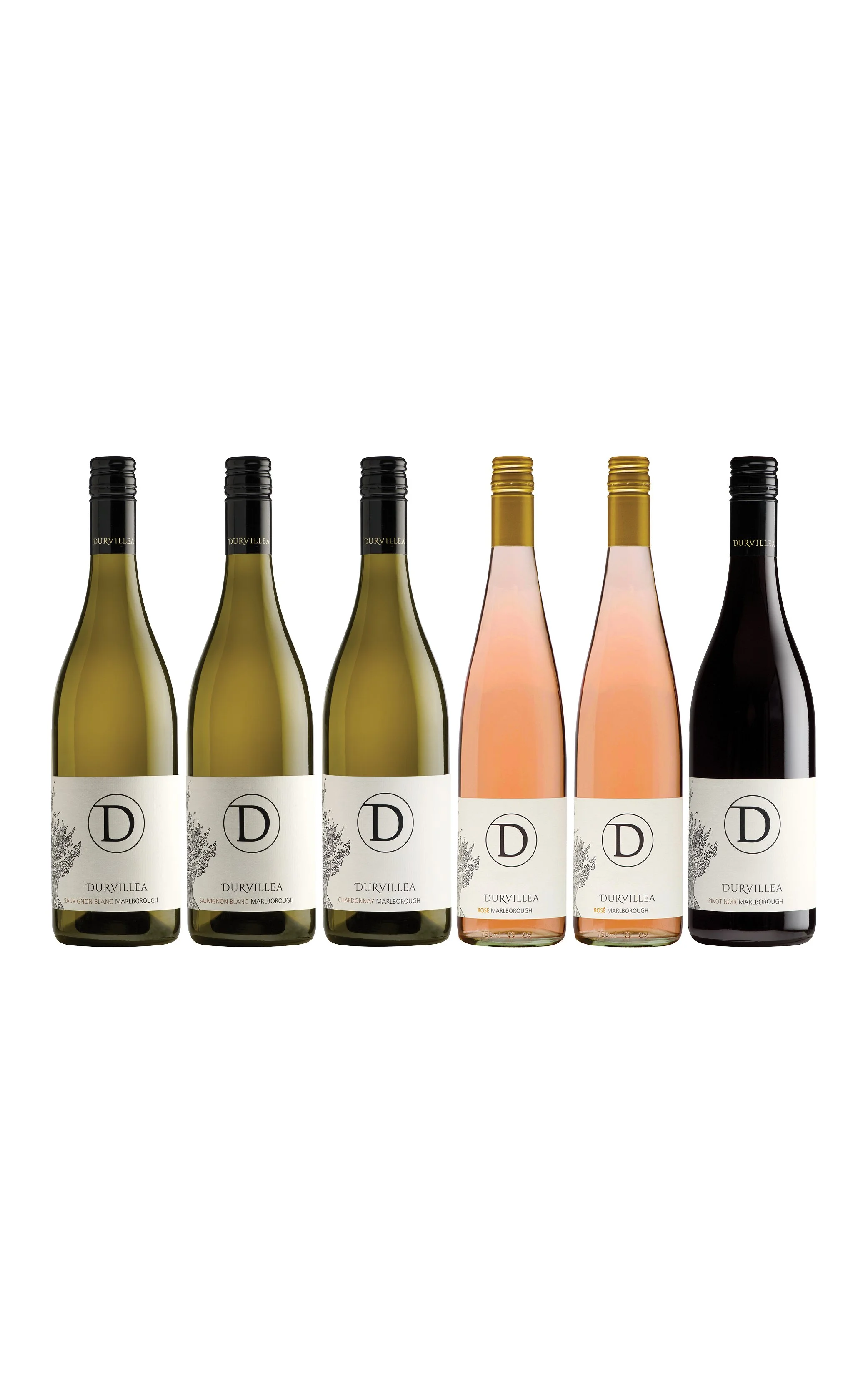 Durvillea Sampler Six