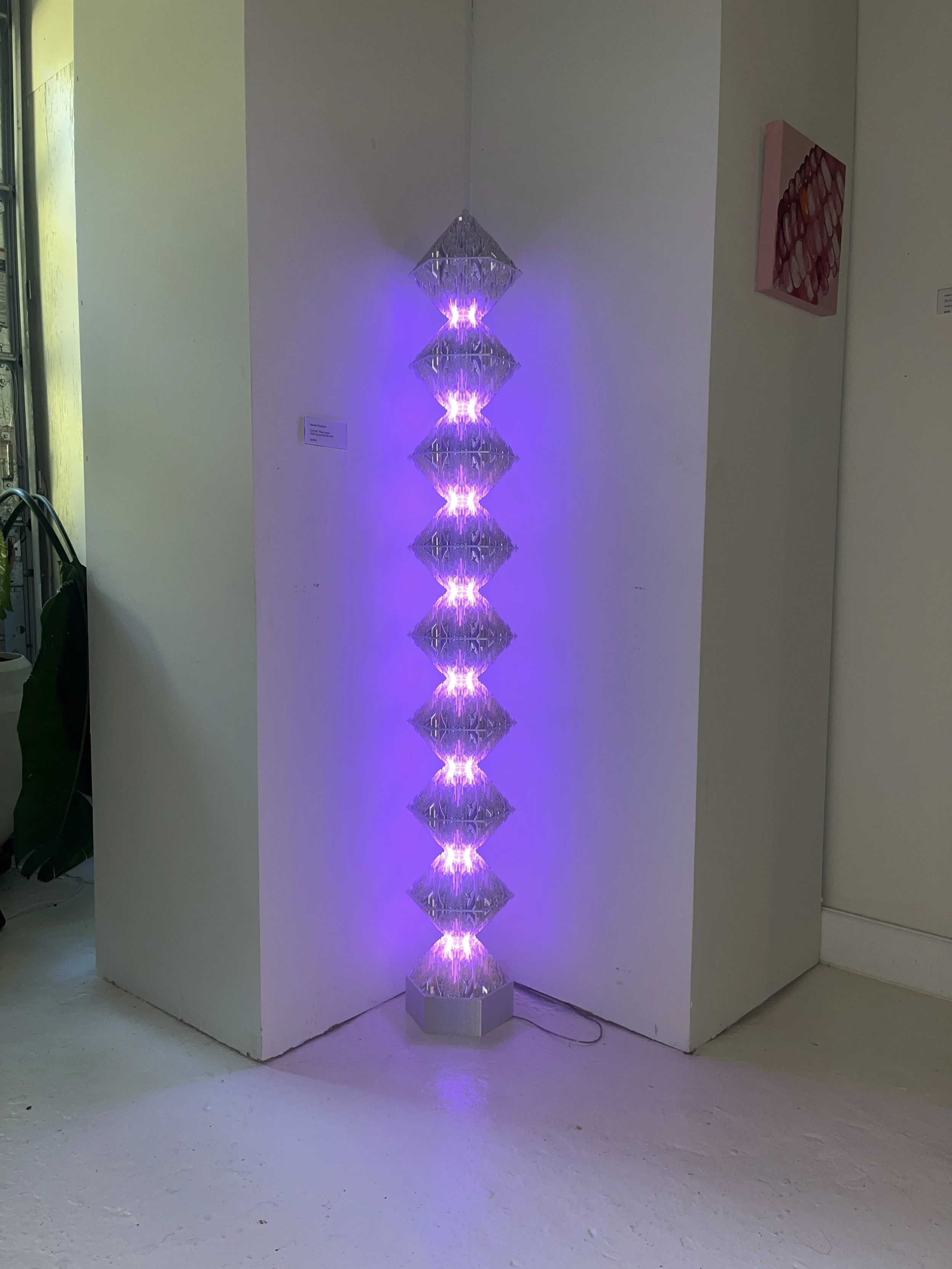 6 mem straight on (8).JPG