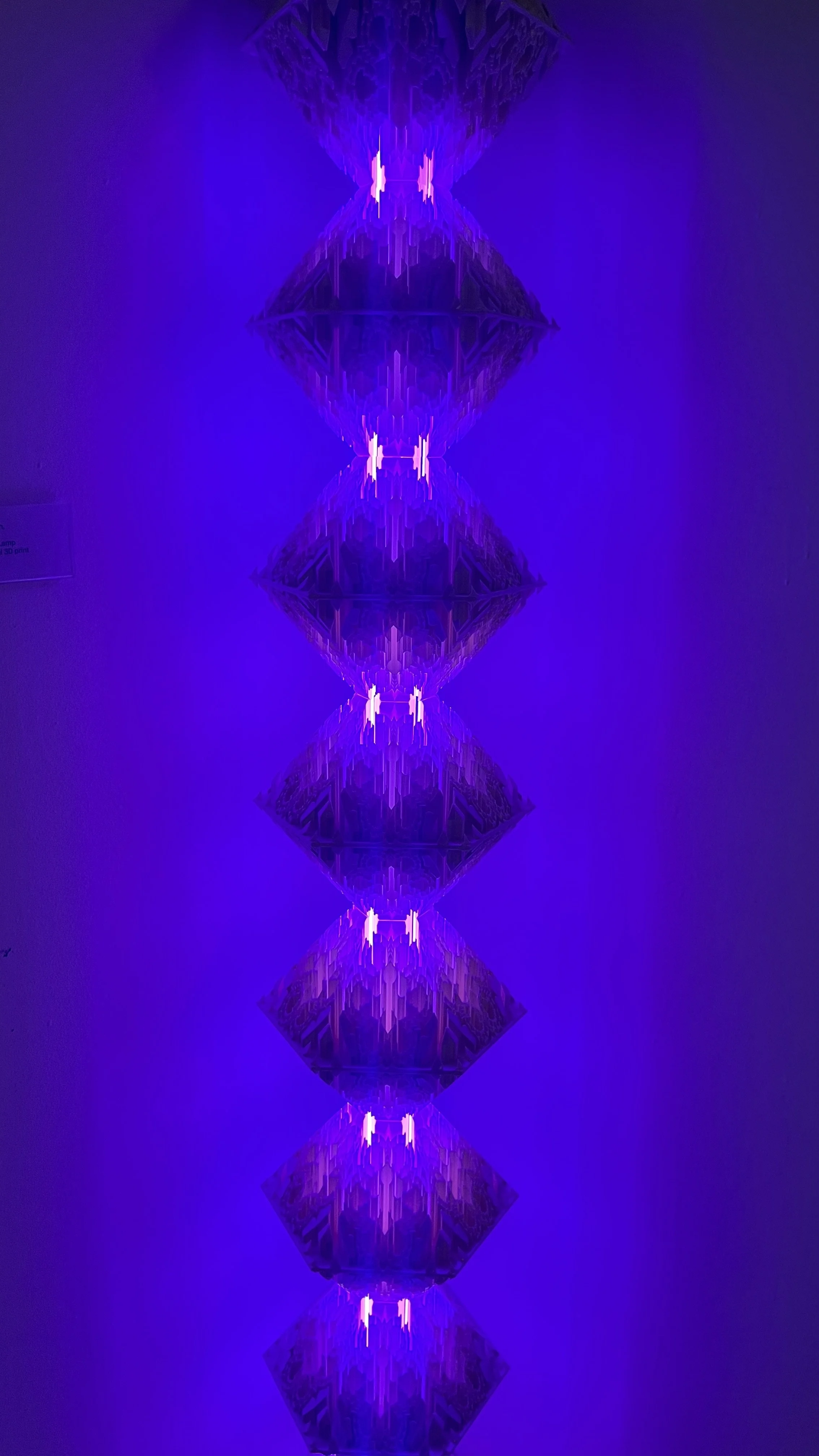 6 mem straight on (3).JPG